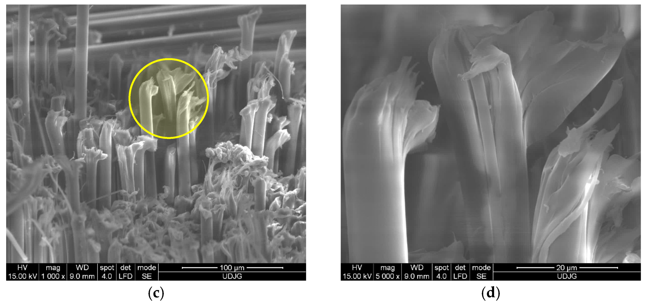 Polymers 17 01058 g024b