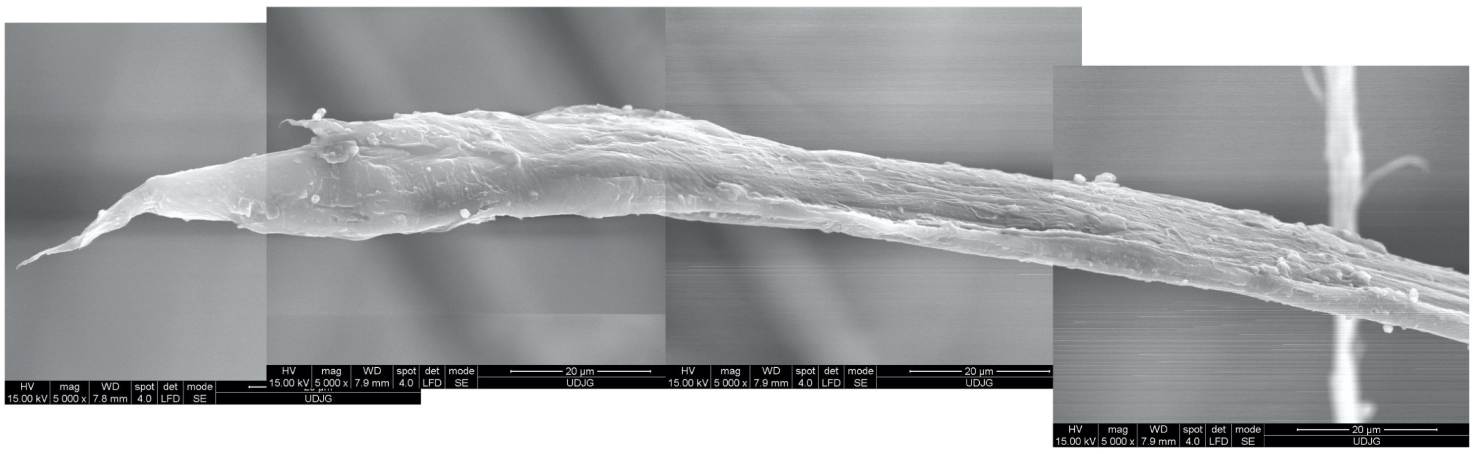Polymers 17 01058 g026
