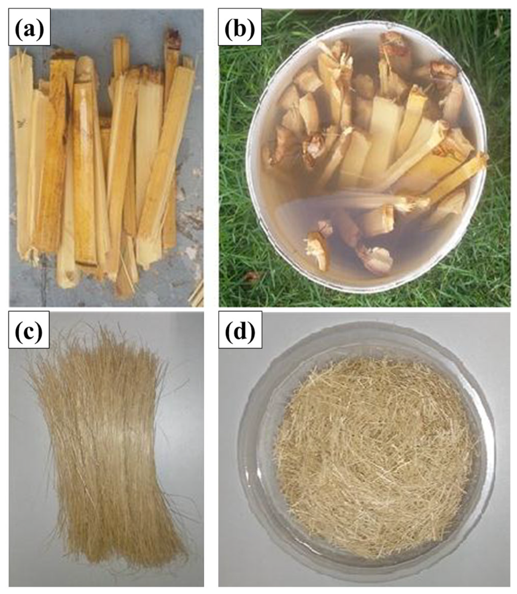 Polymers 17 01060 g003