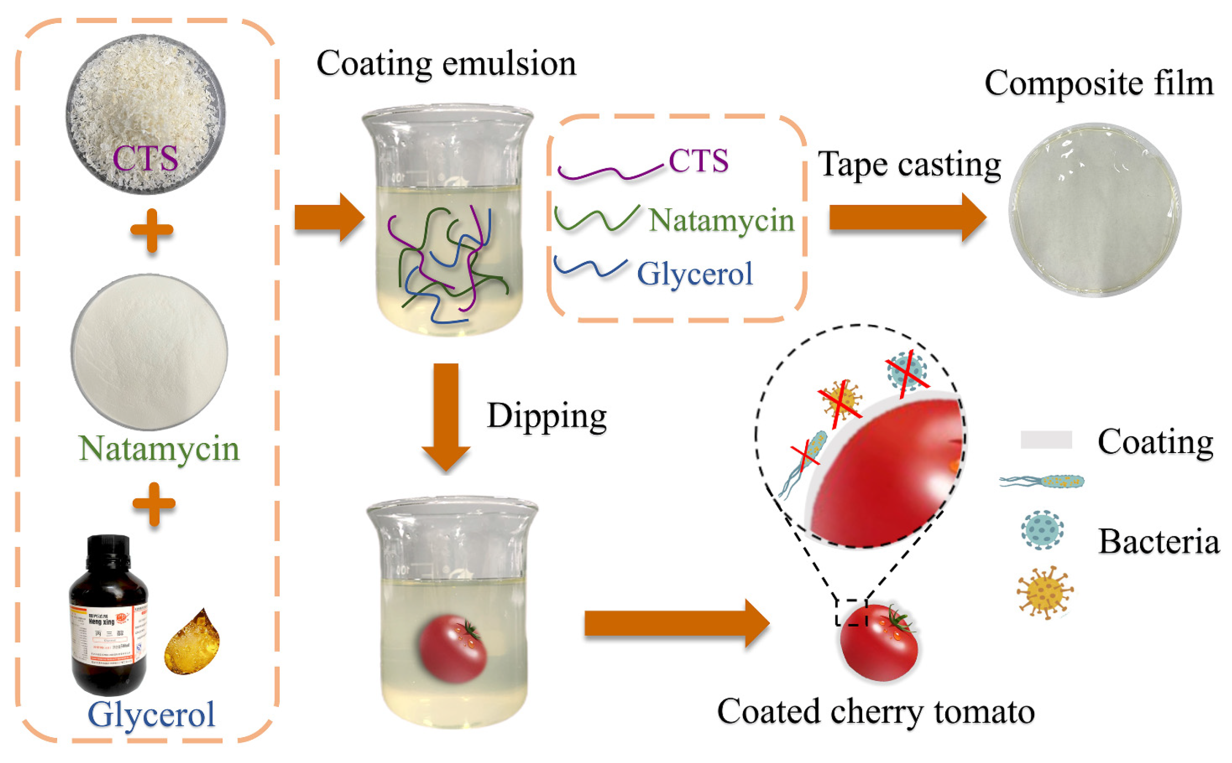 Preparation and Application of Edible Chitosan Coating
