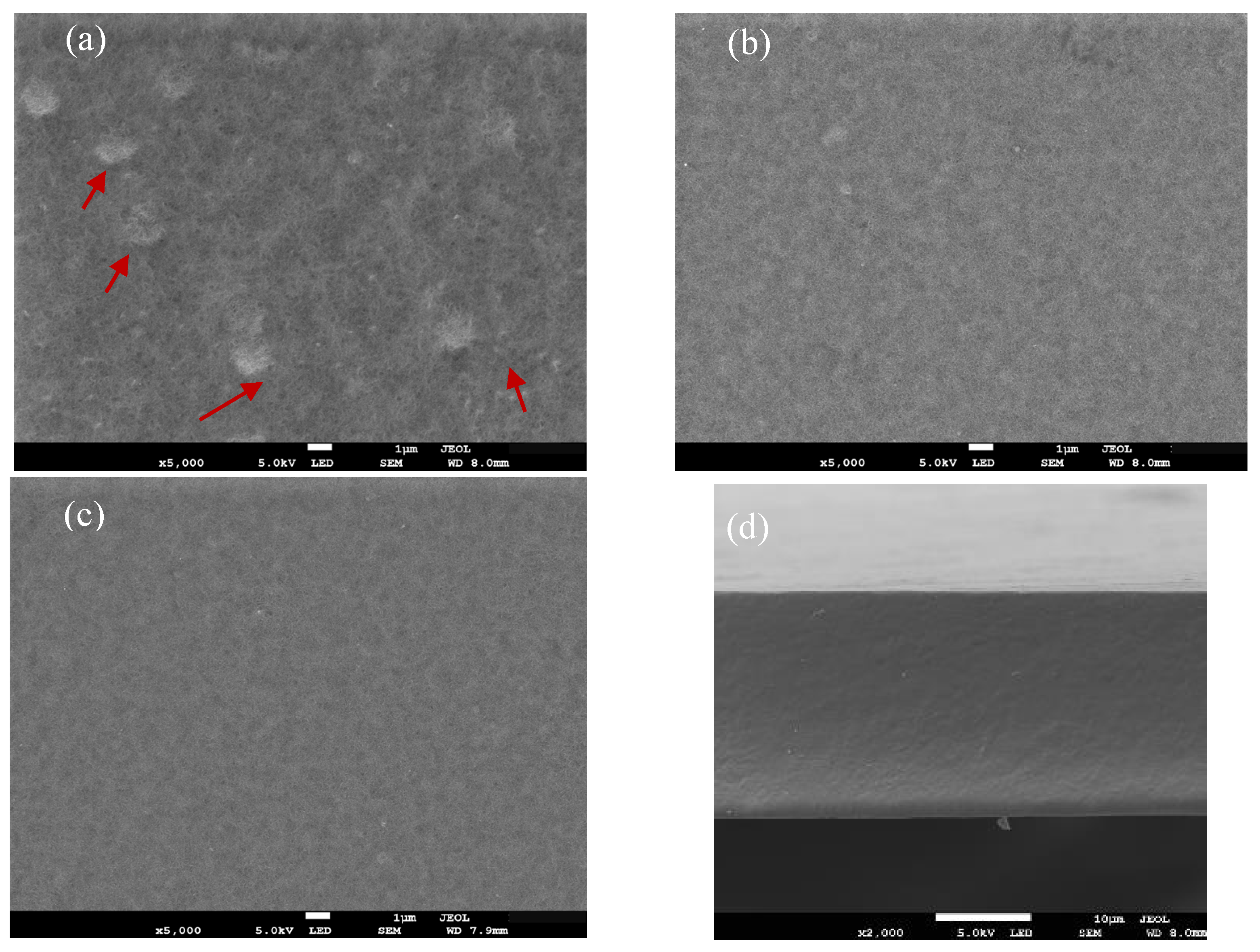 Polymers 17 01062 g009