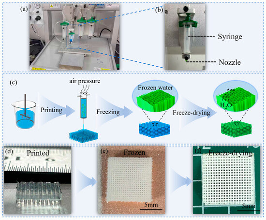 New 3D Ink Formulation Comprising a Nanocellulose Aerogel Based on ...