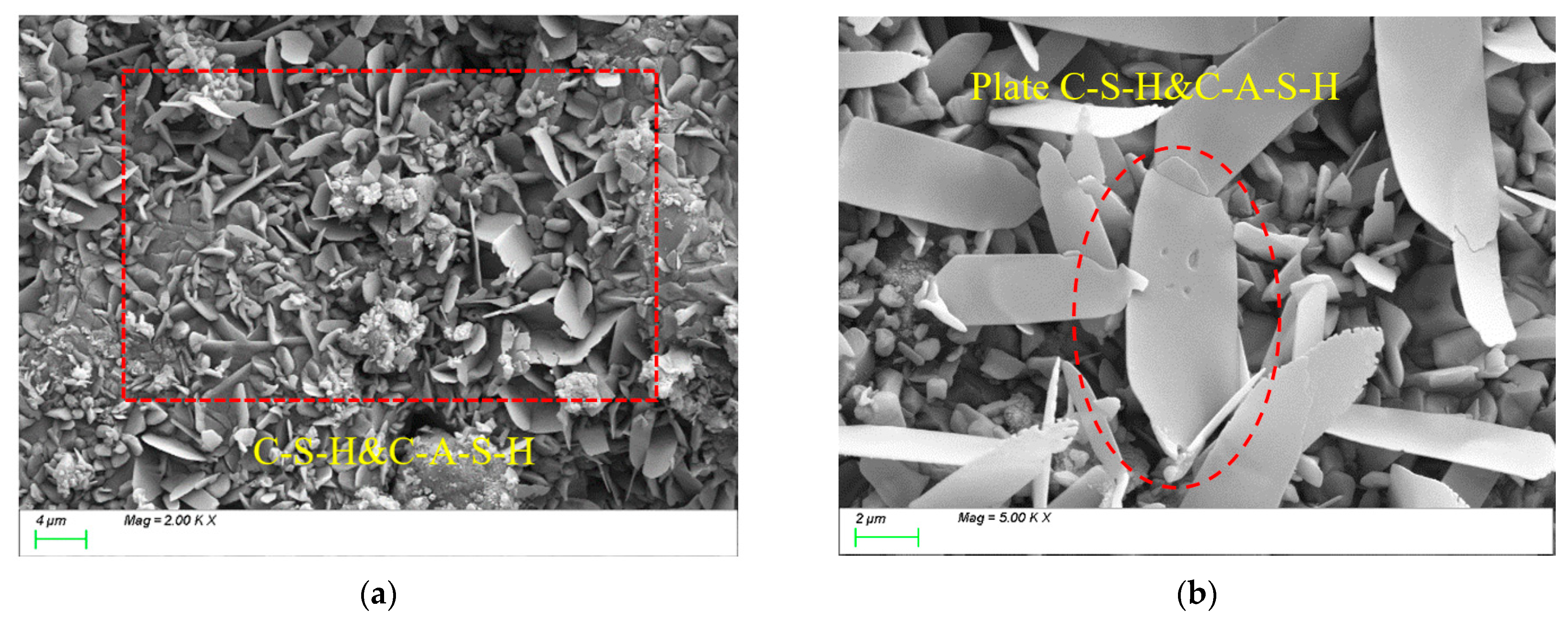 Polymers 17 01072 g011