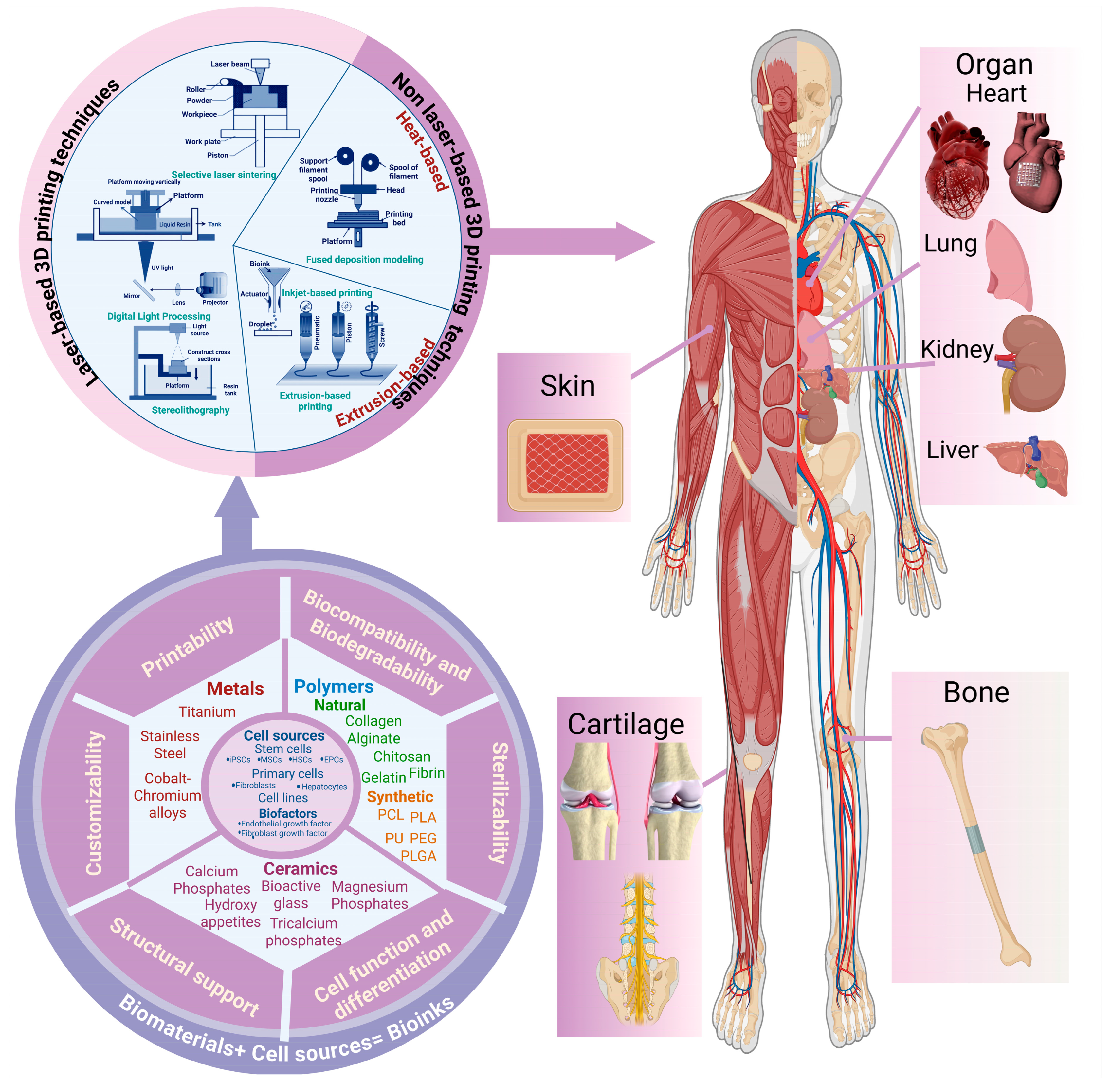 Polymers 17 01090 g007