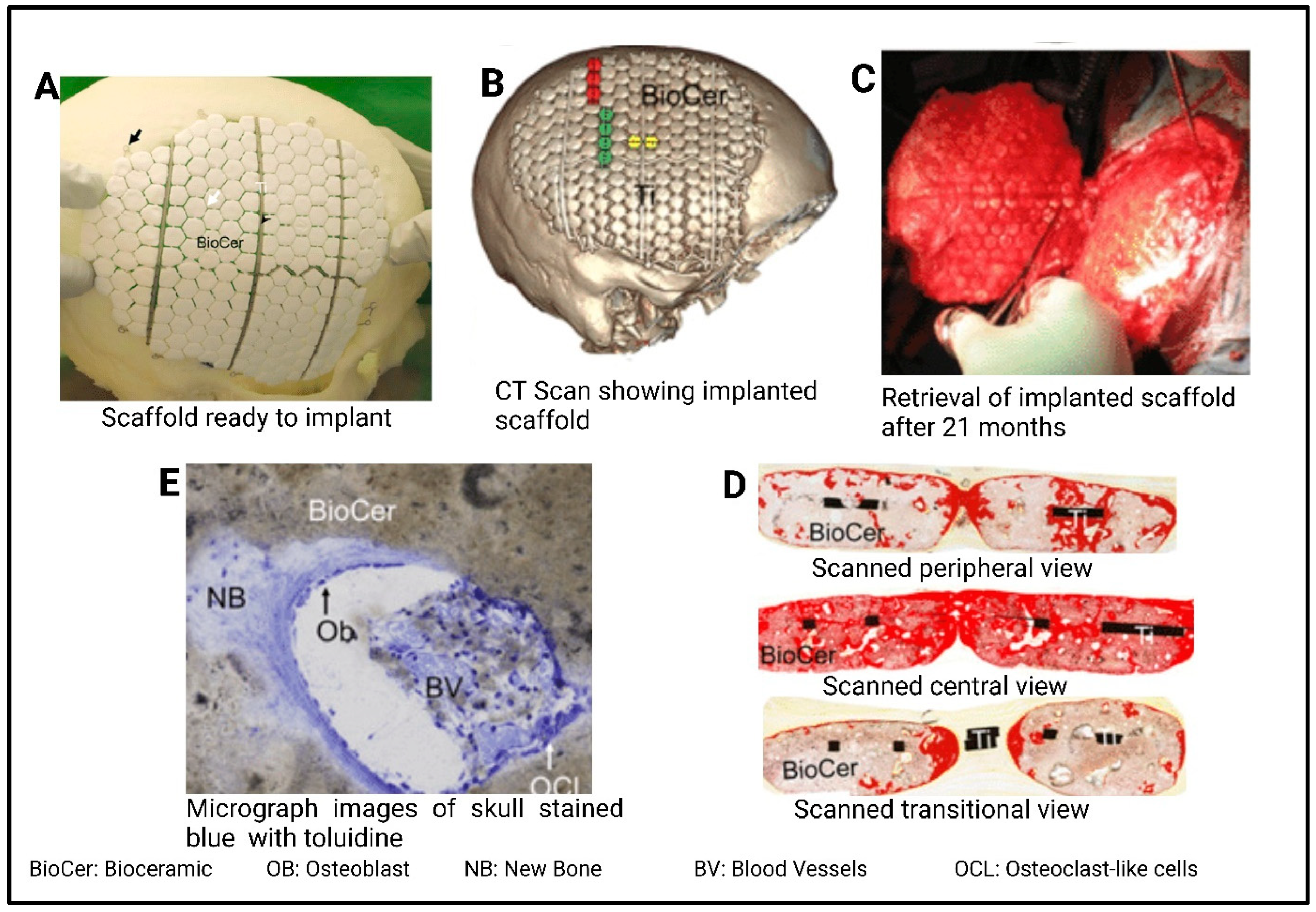 Polymers 17 01090 g008