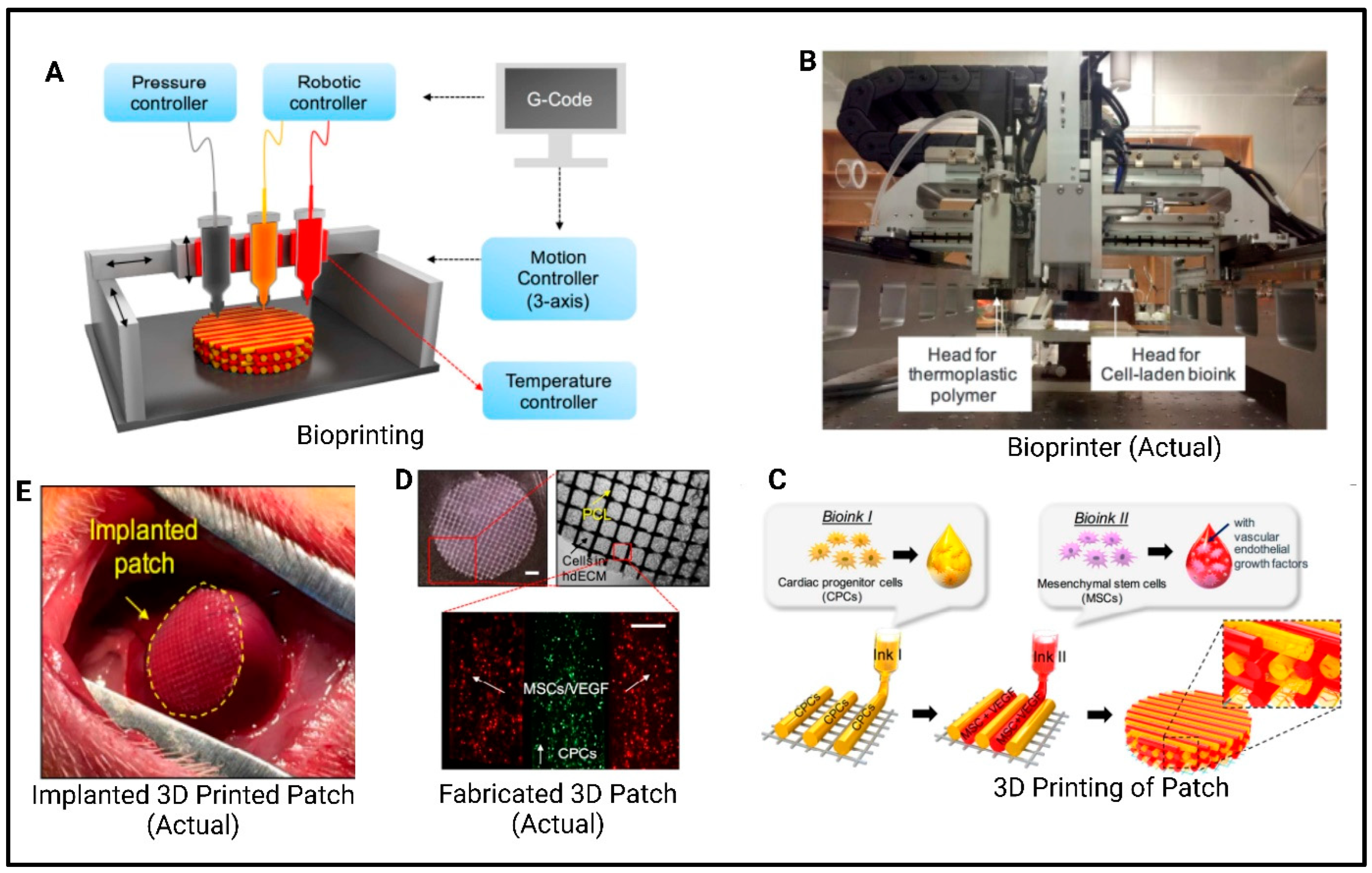 Polymers 17 01090 g010