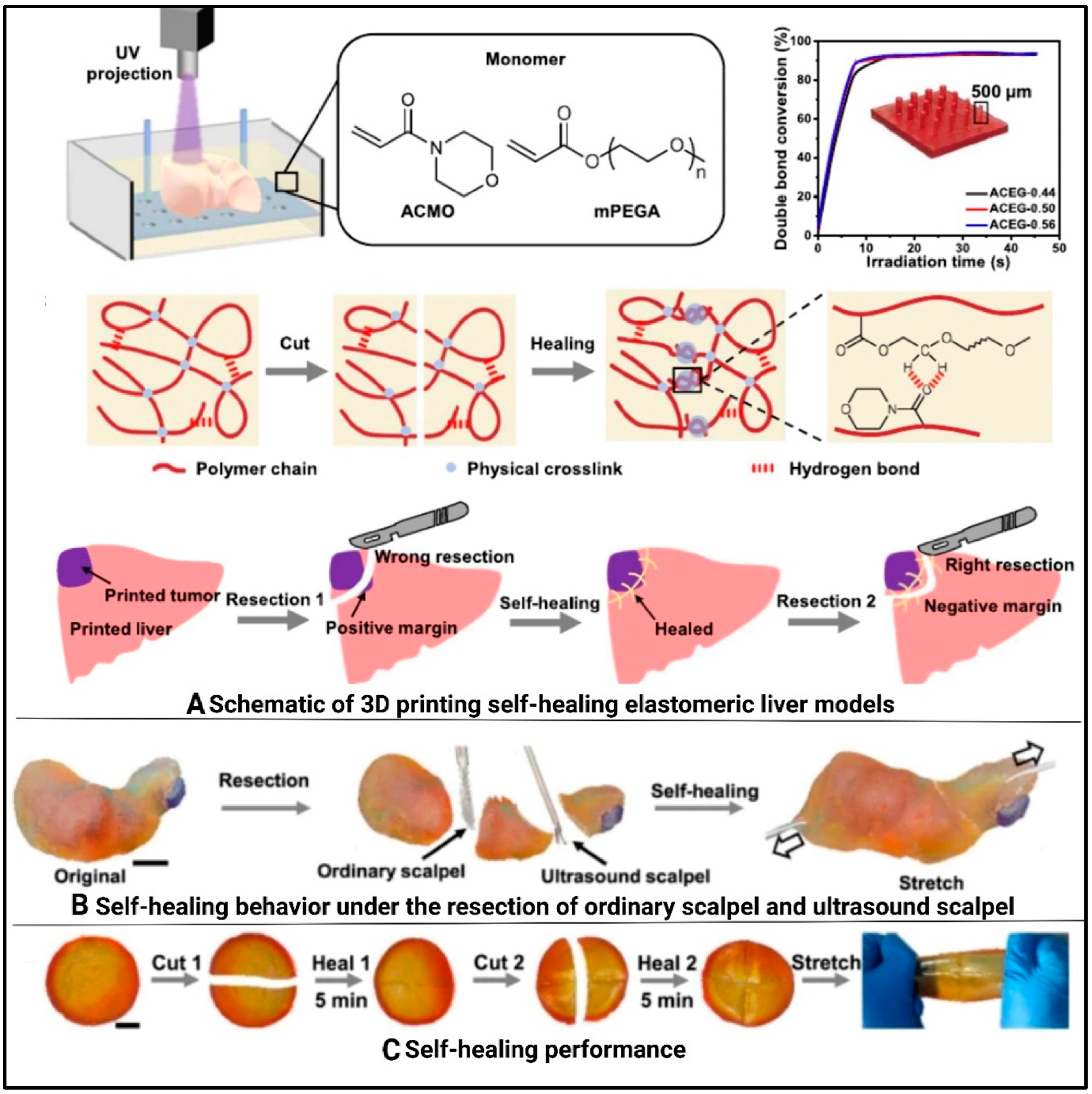 Polymers 17 01090 g012
