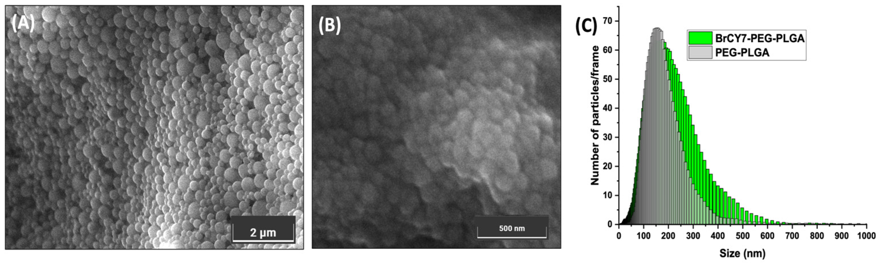 Polymers 17 01101 g003