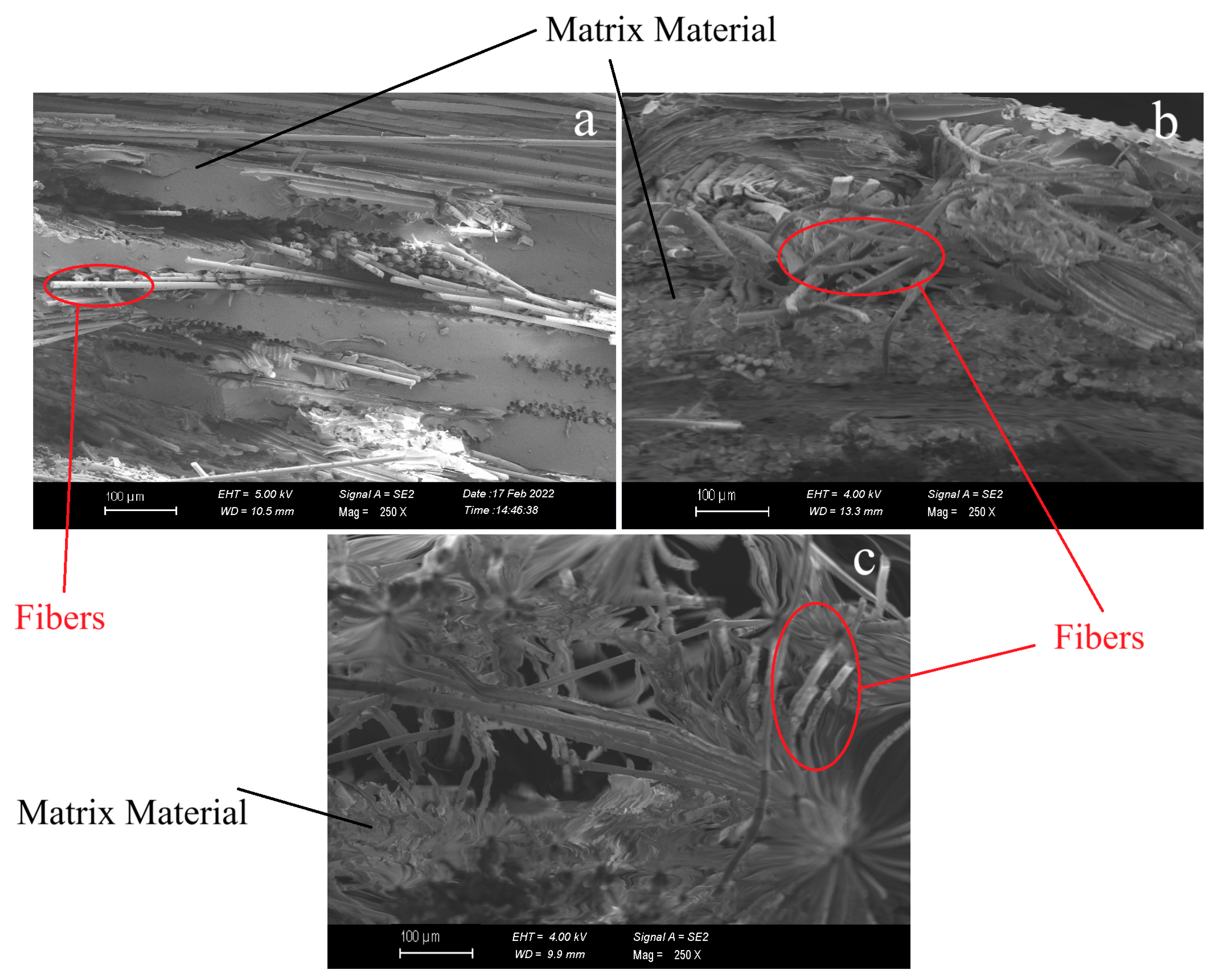 Polymers 17 01116 g007