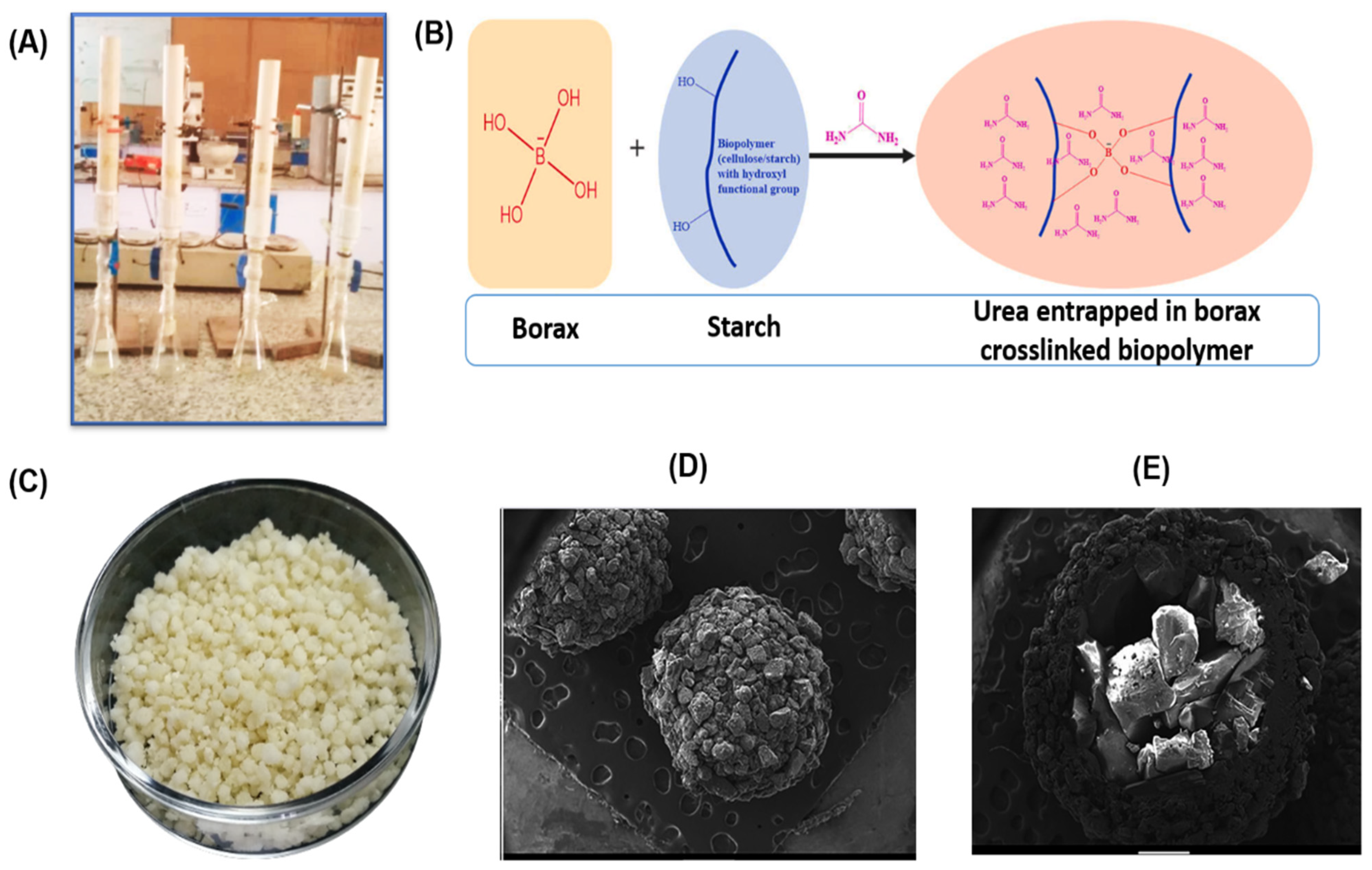 Polymers 17 01117 g006