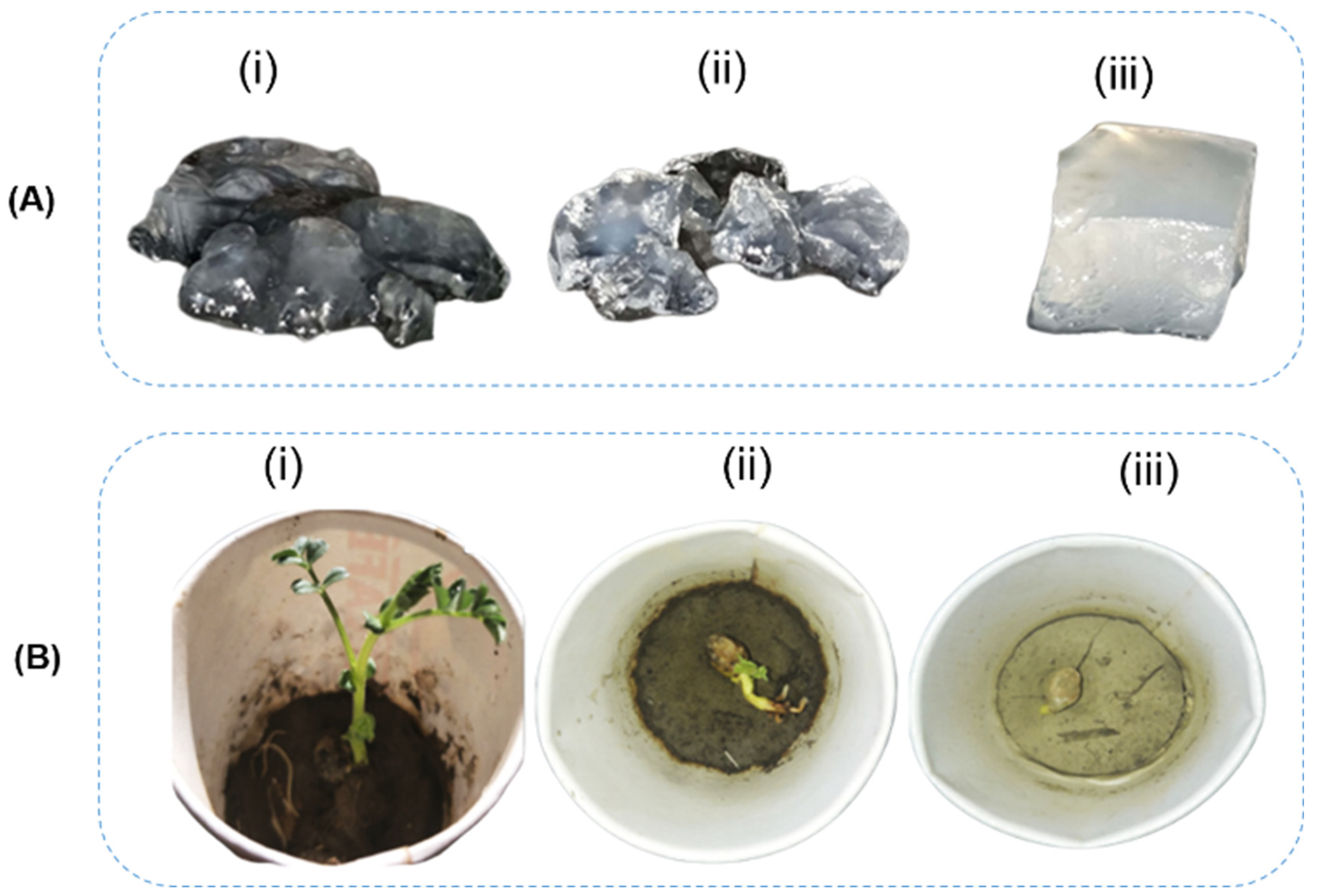 Polymers 17 01117 g007