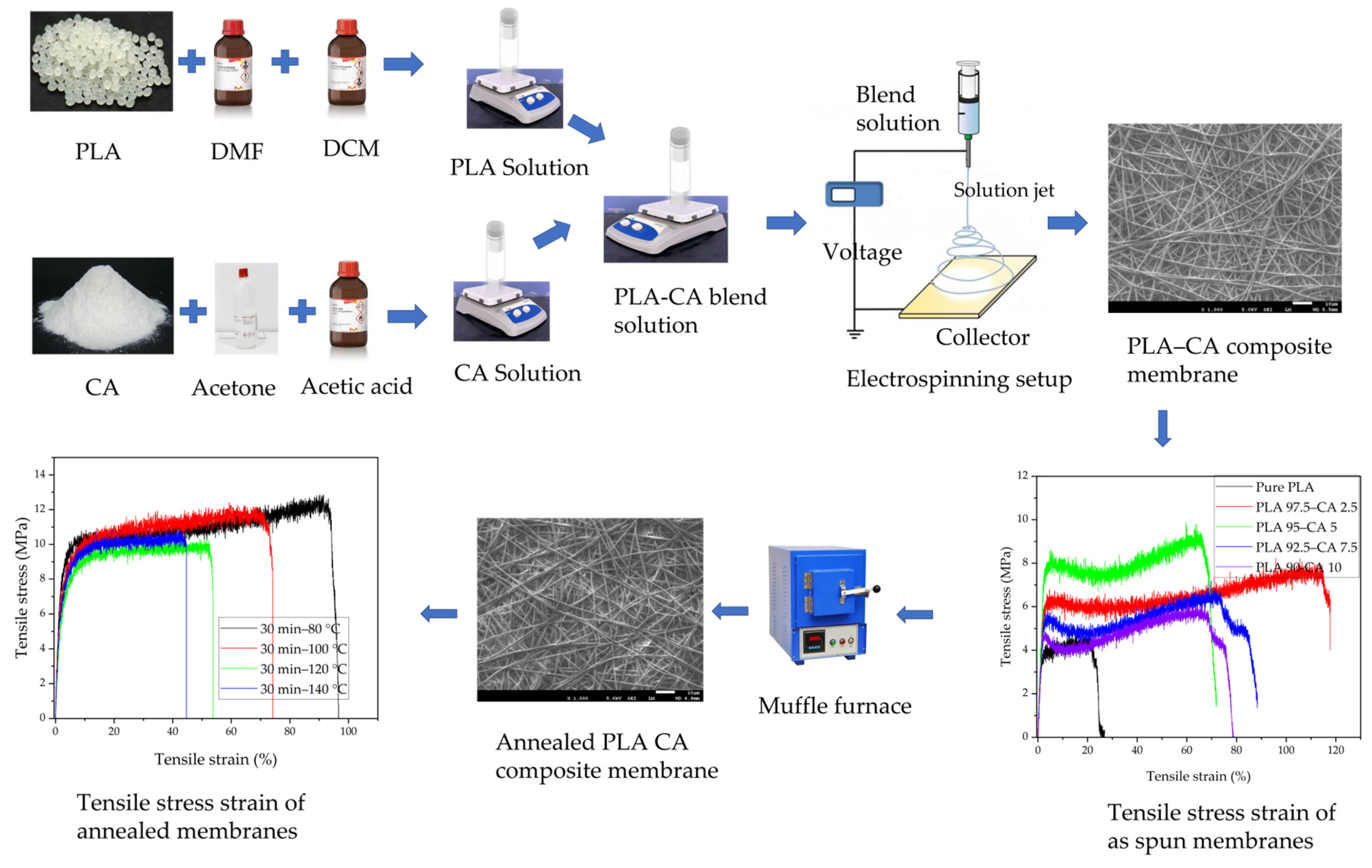 Polymers 17 01118 g001