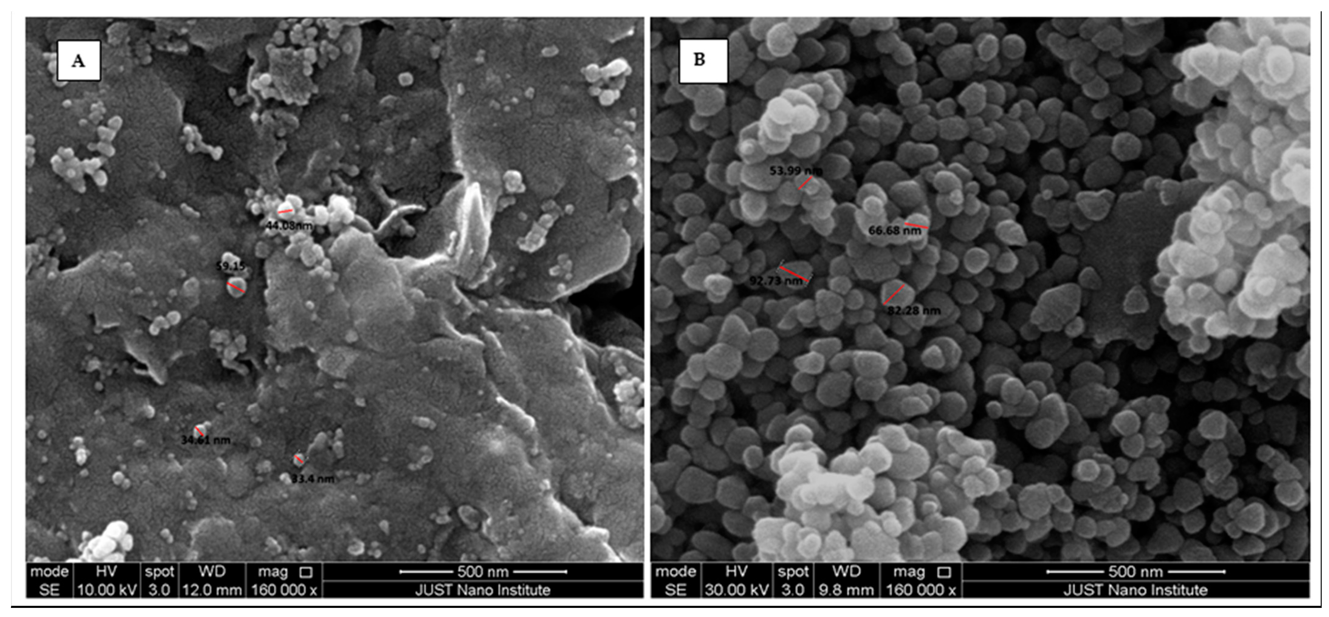 Polymers 17 01120 g001