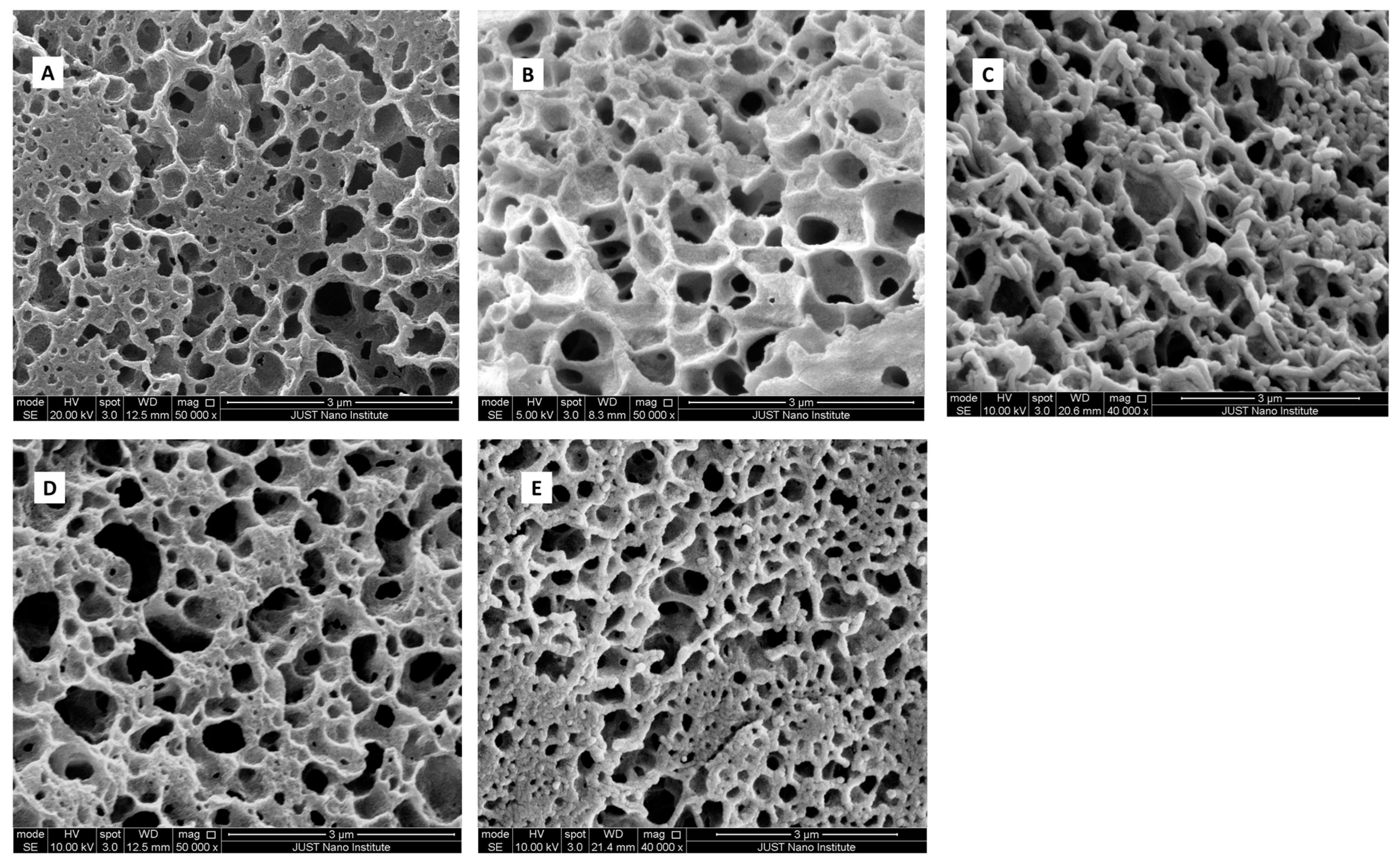 Polymers 17 01120 g003