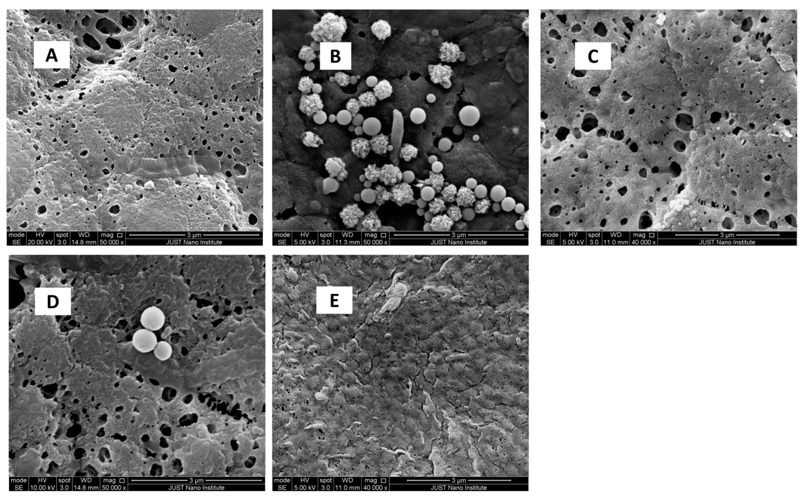 Polymers 17 01120 g004