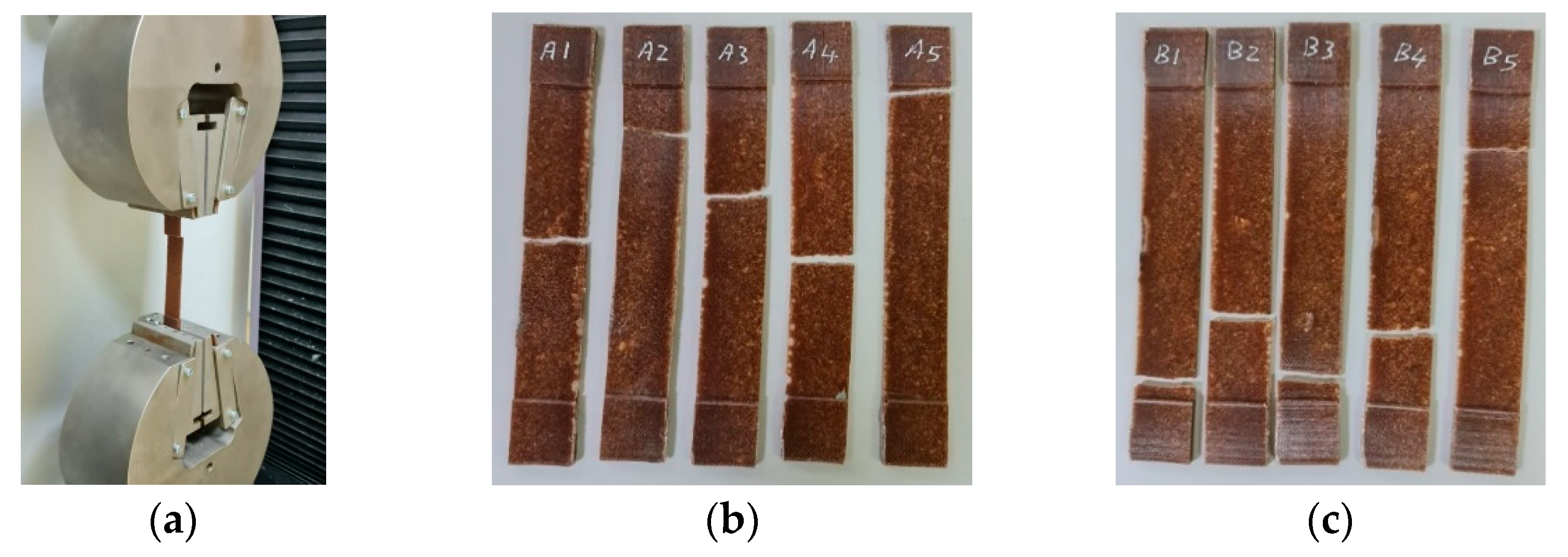 Polymers 17 01125 g006