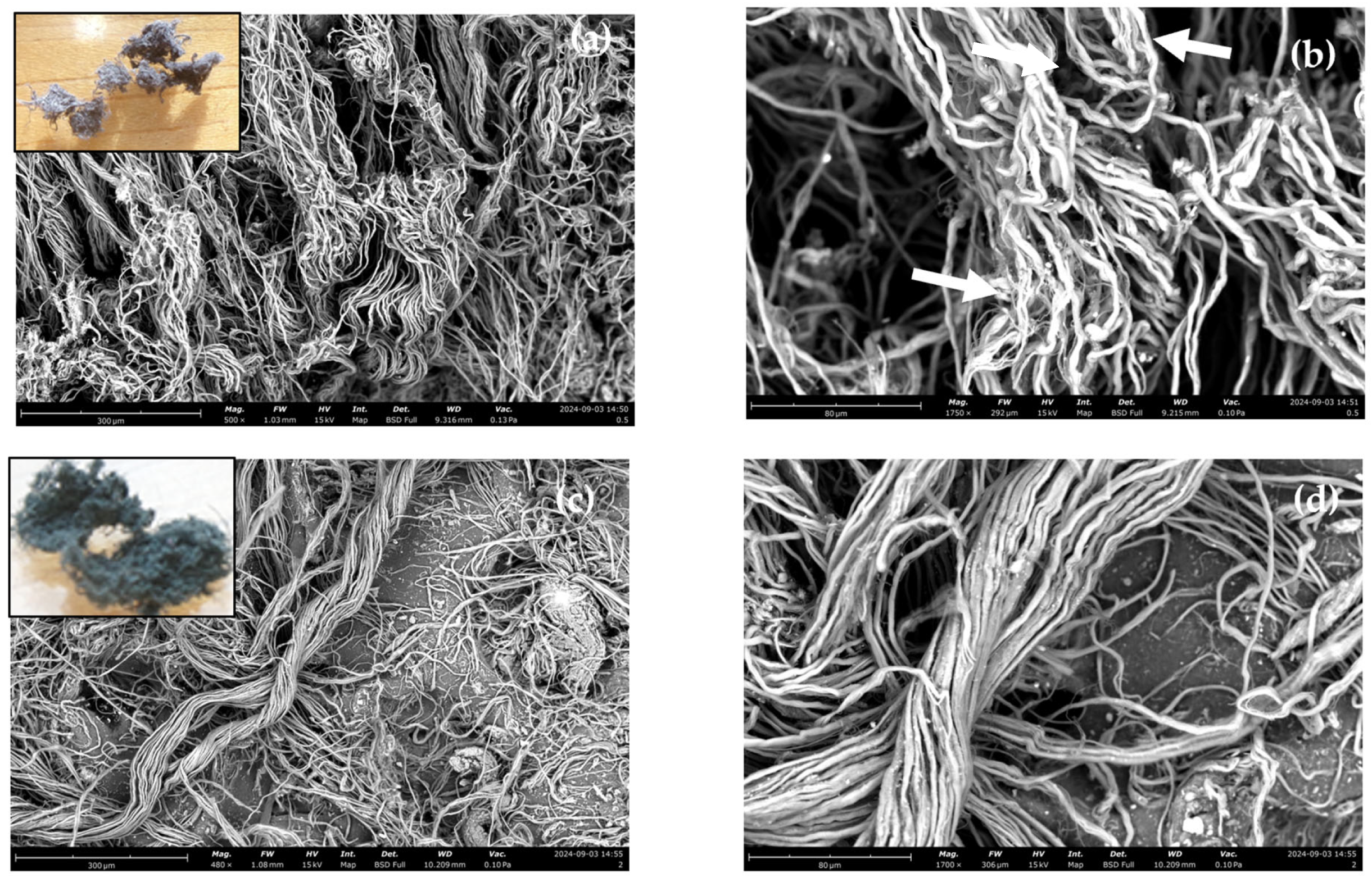 Polymers 17 01136 g001