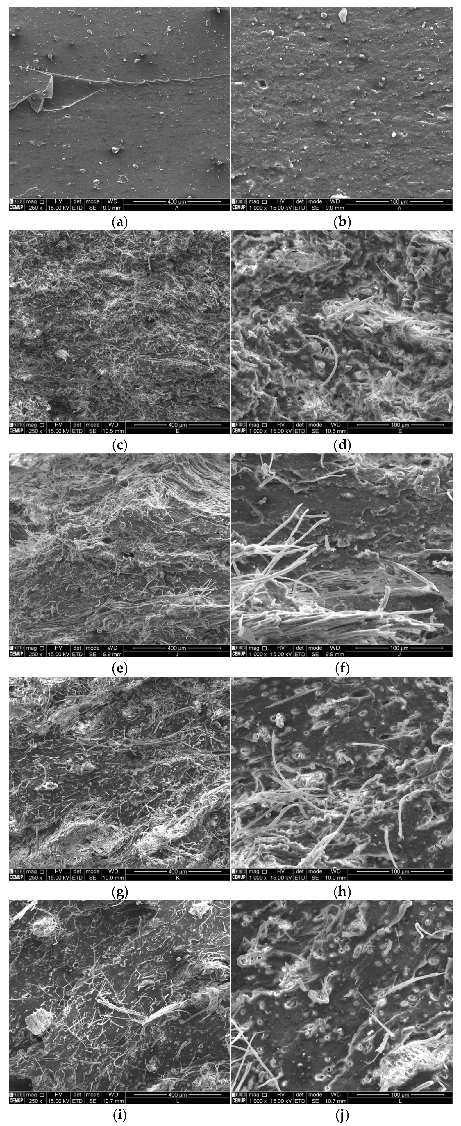 Polymers 17 01136 g004