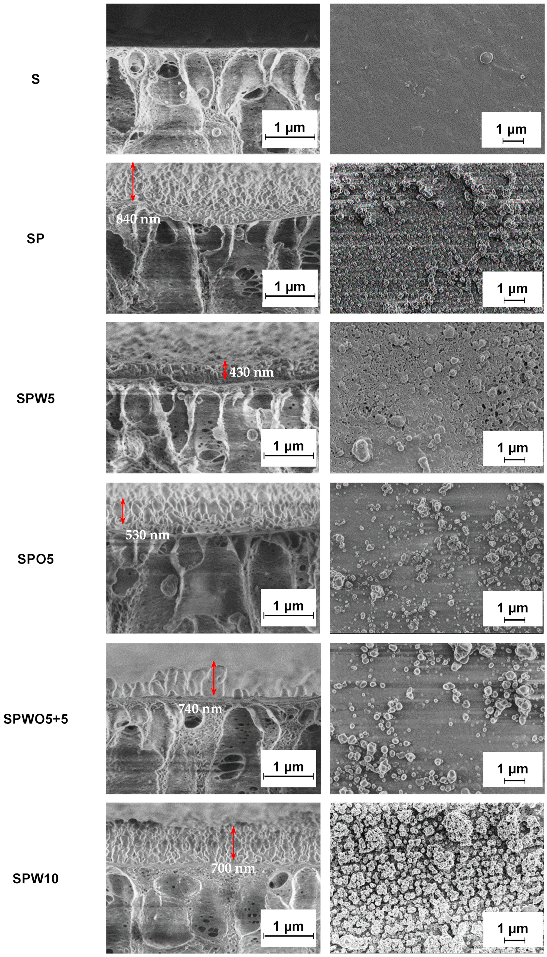 Polymers 17 01137 g006