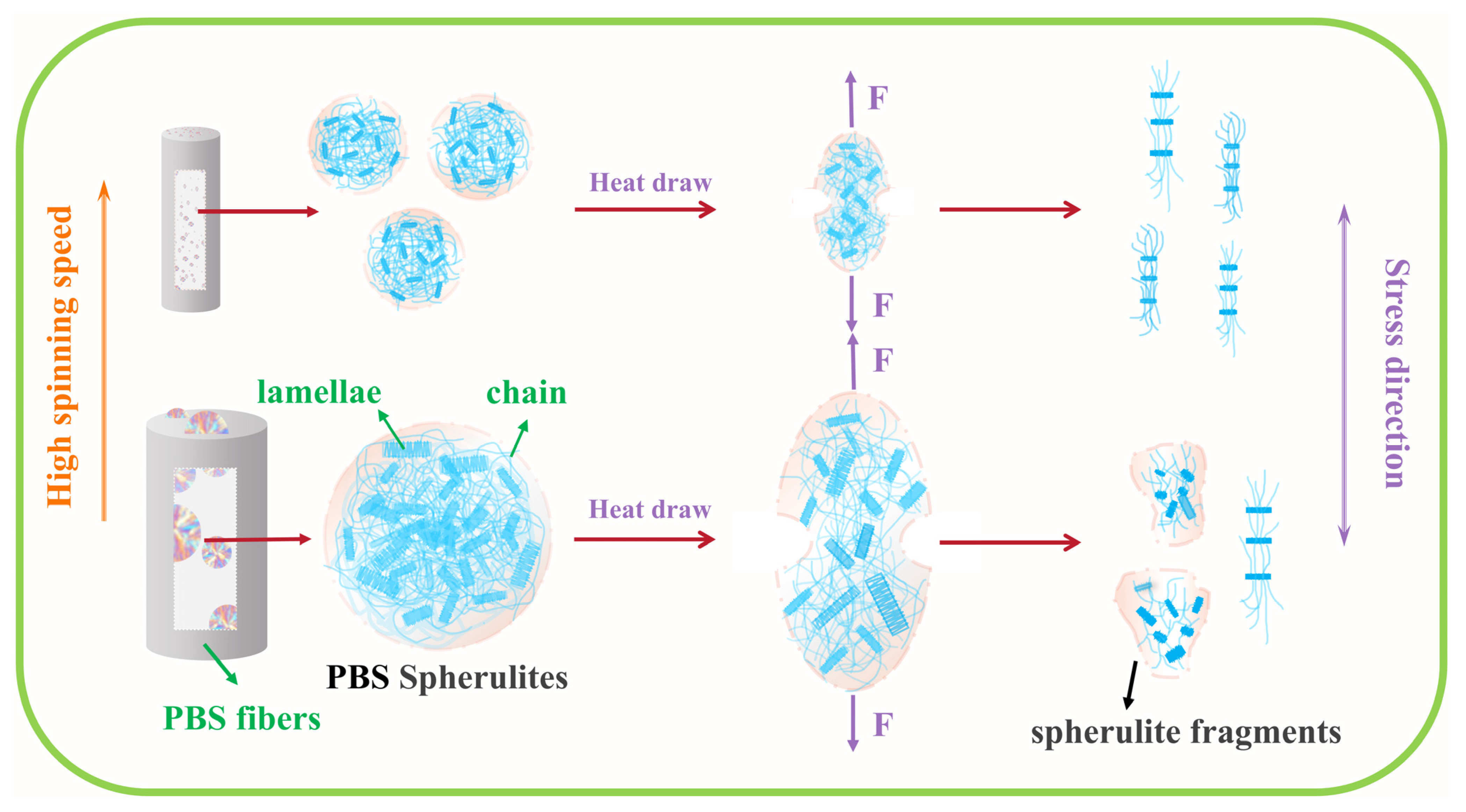 Polymers 17 01138 g006