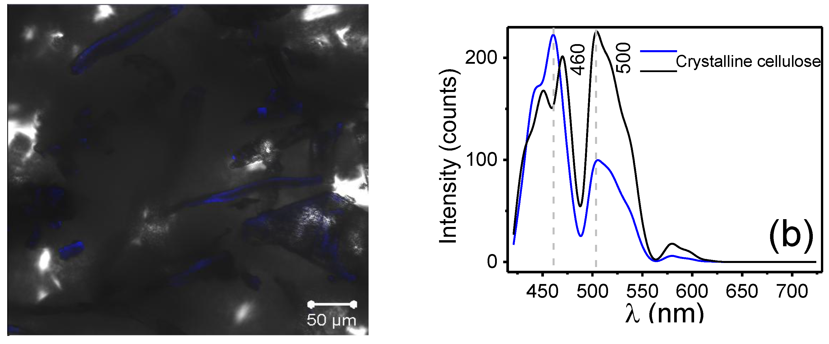 Polymers 17 01141 g004