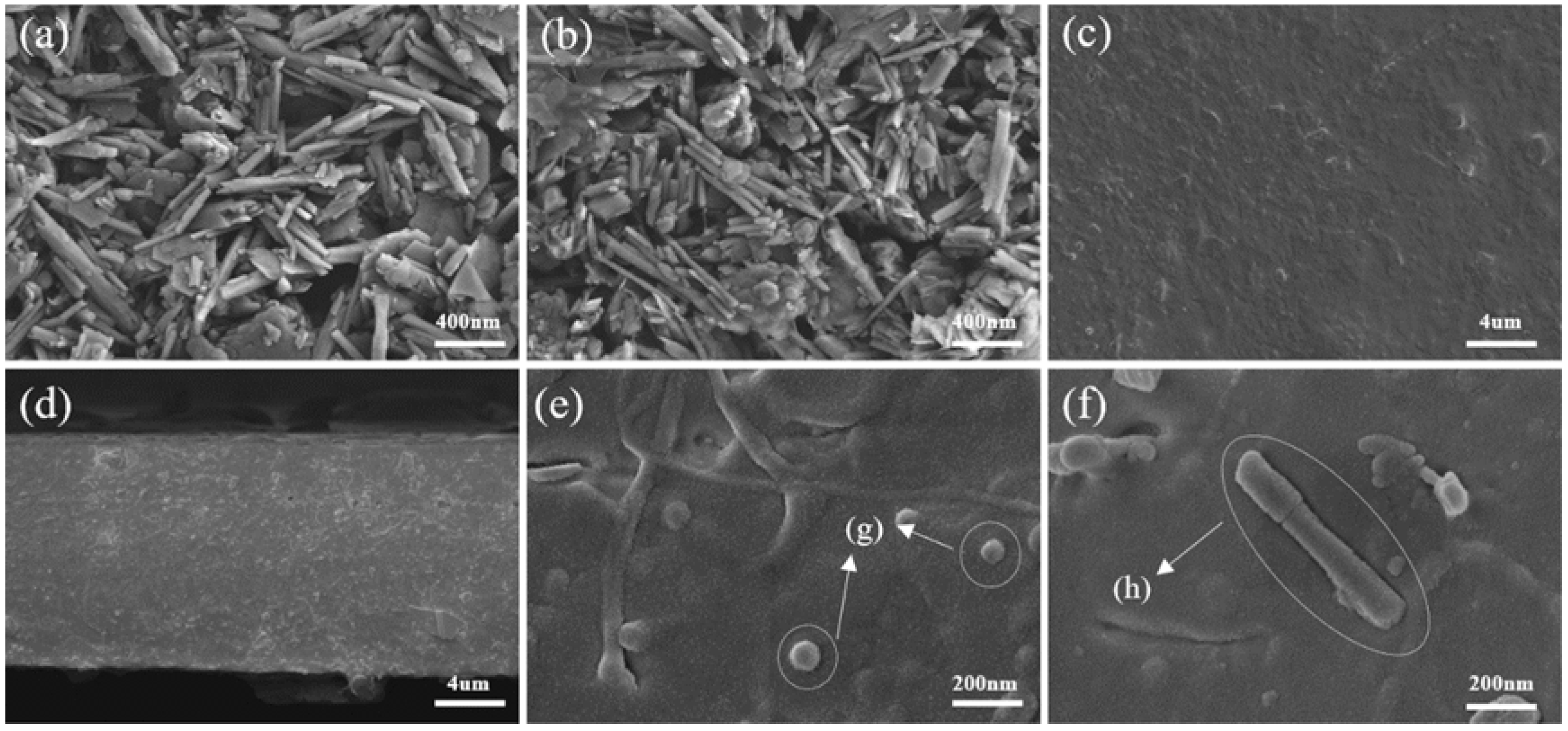 Polymers 17 01144 g003