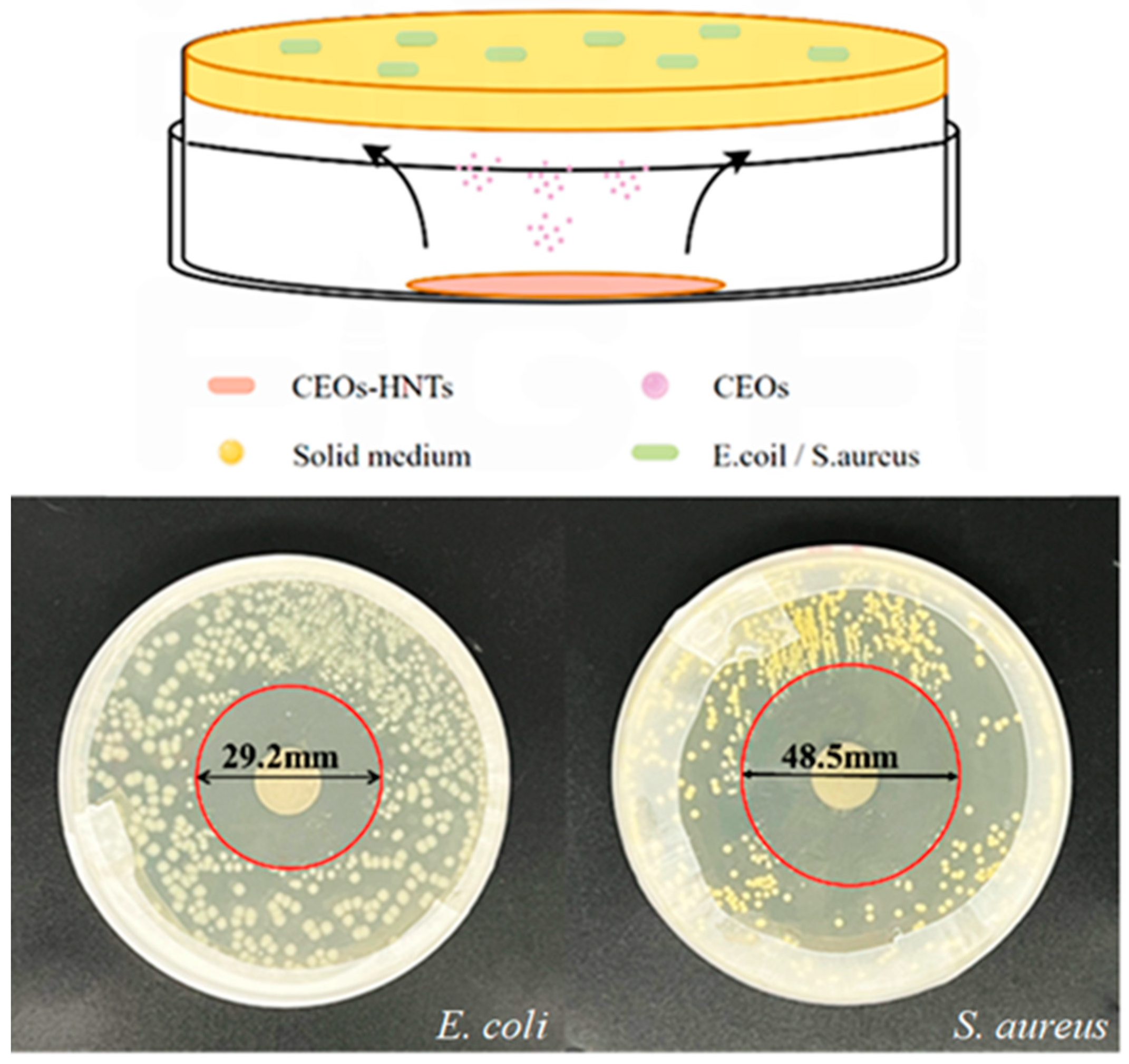 Polymers 17 01144 g006