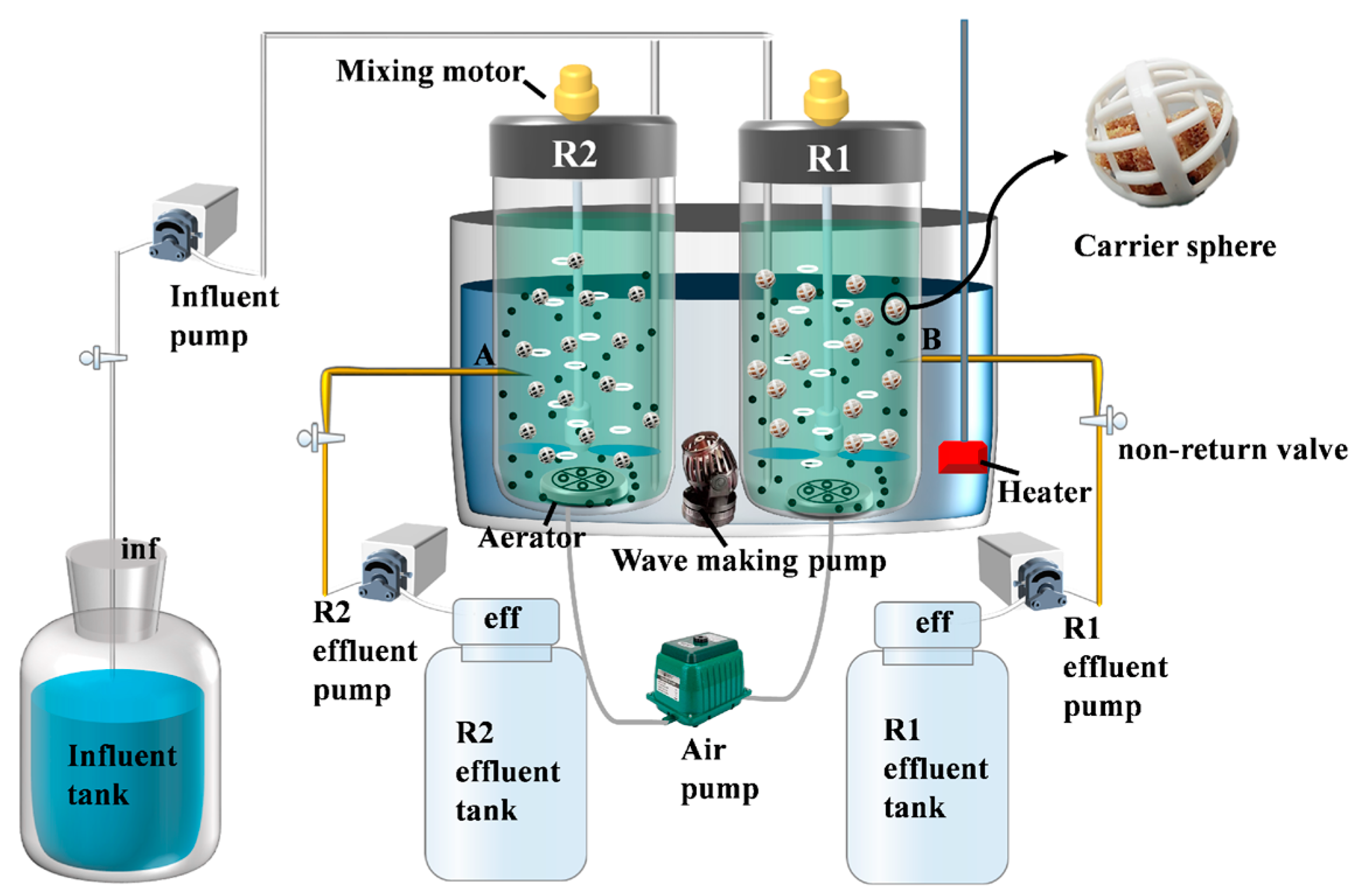 Enhancement of Partial Nitrification–Anaerobic Ammonia
