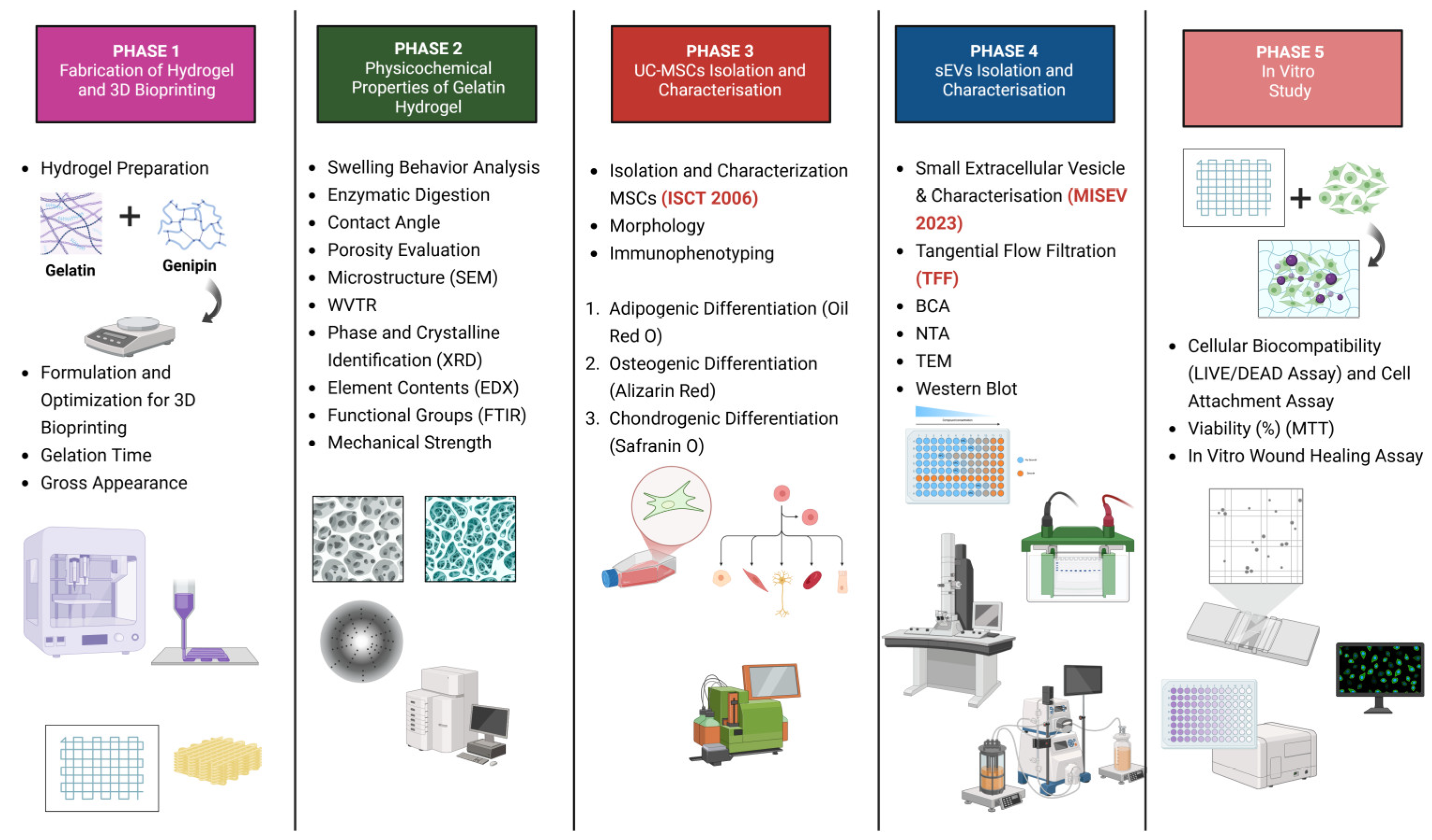 Polymers 17 01163 g001