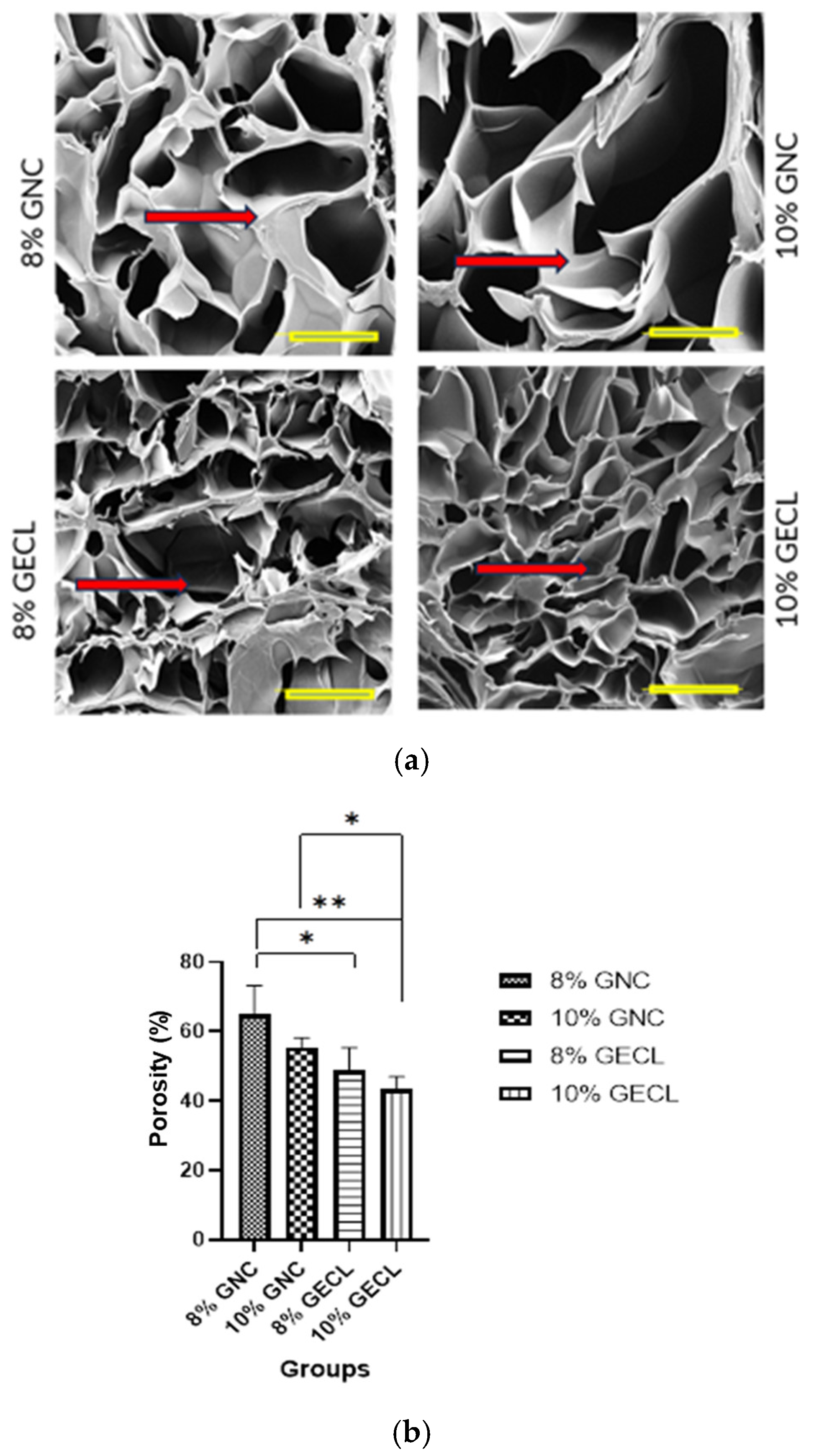 Polymers 17 01163 g005