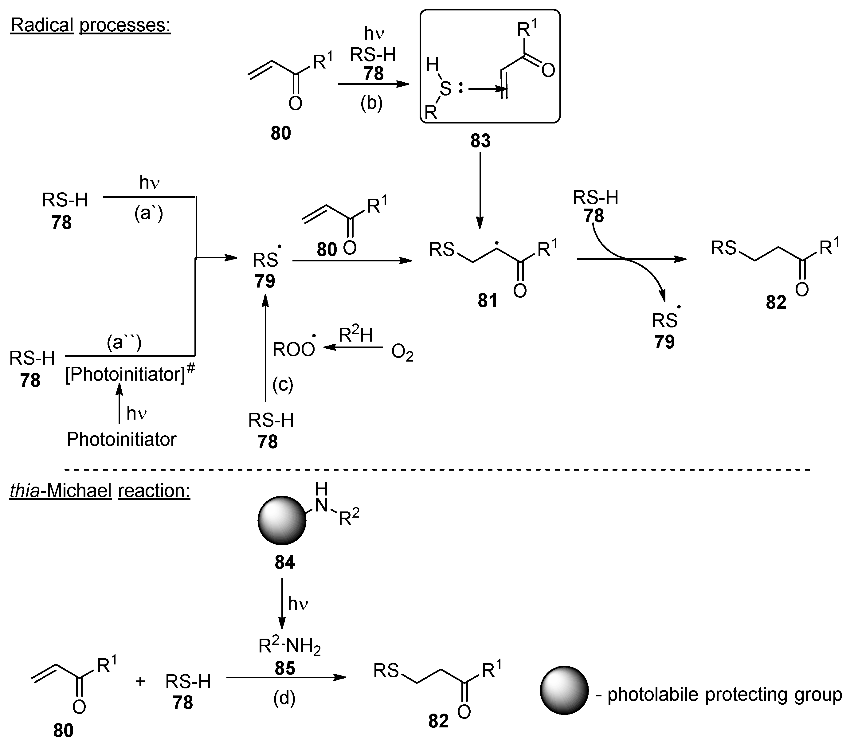 Polymers 17 01166 g014