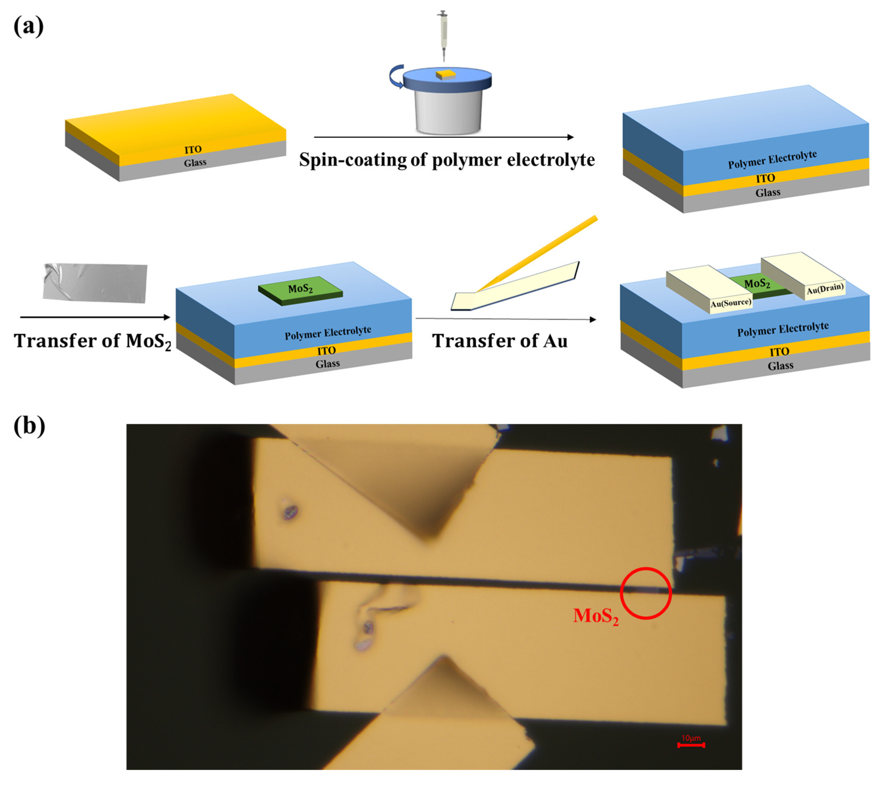 Polymers 17 01178 g001