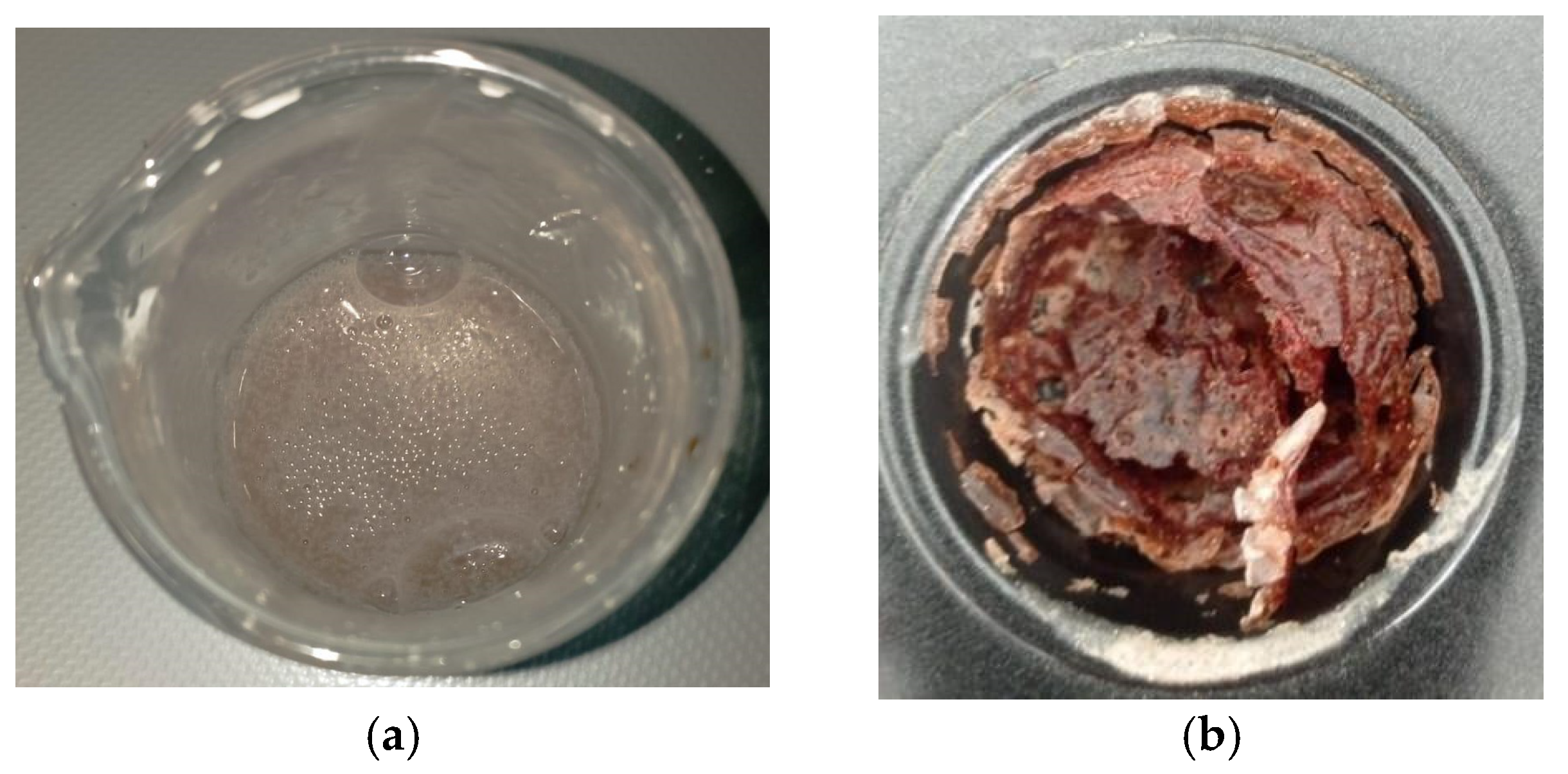 Polymers 17 01184 g005