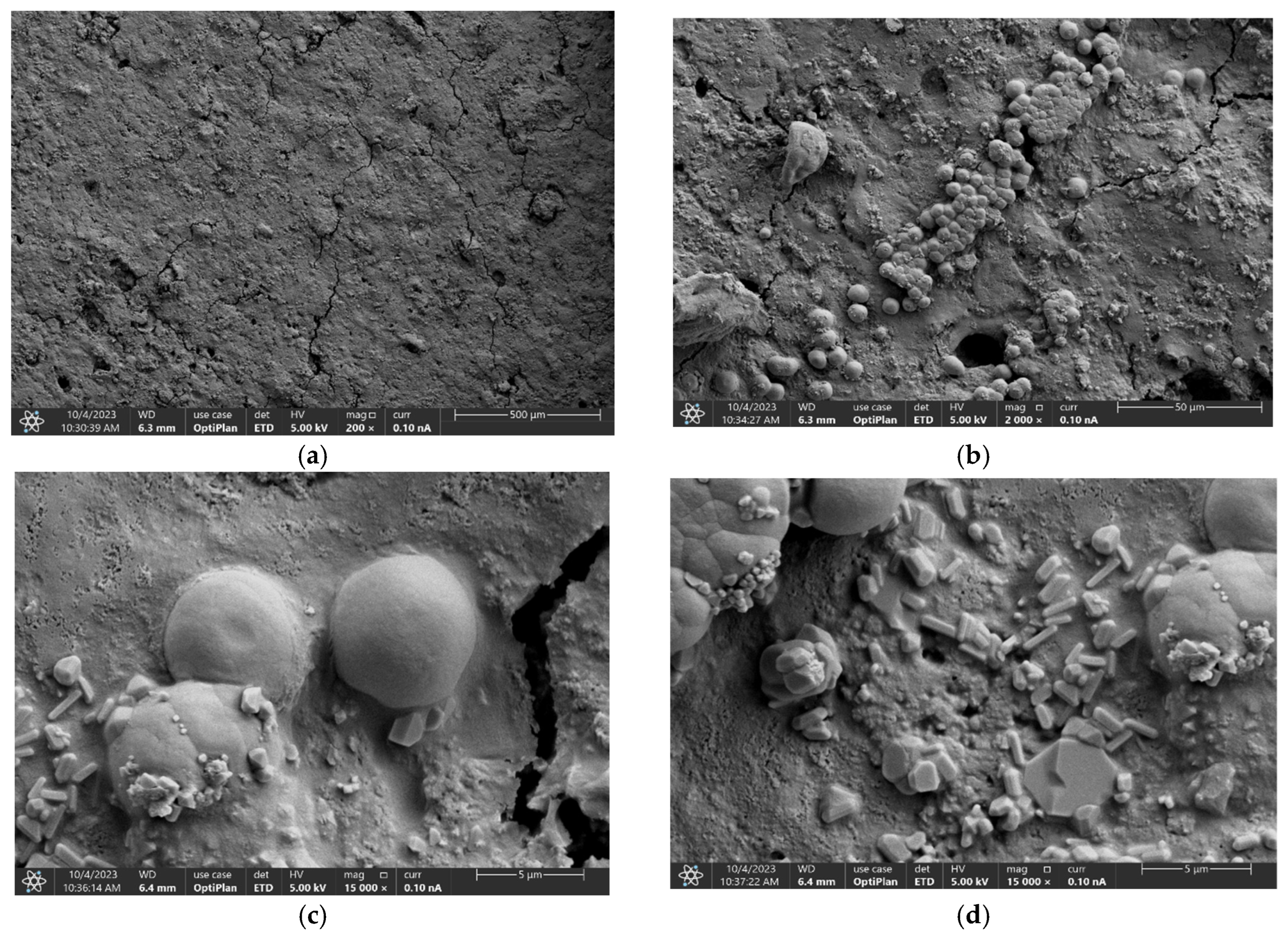 Polymers 17 01184 g007