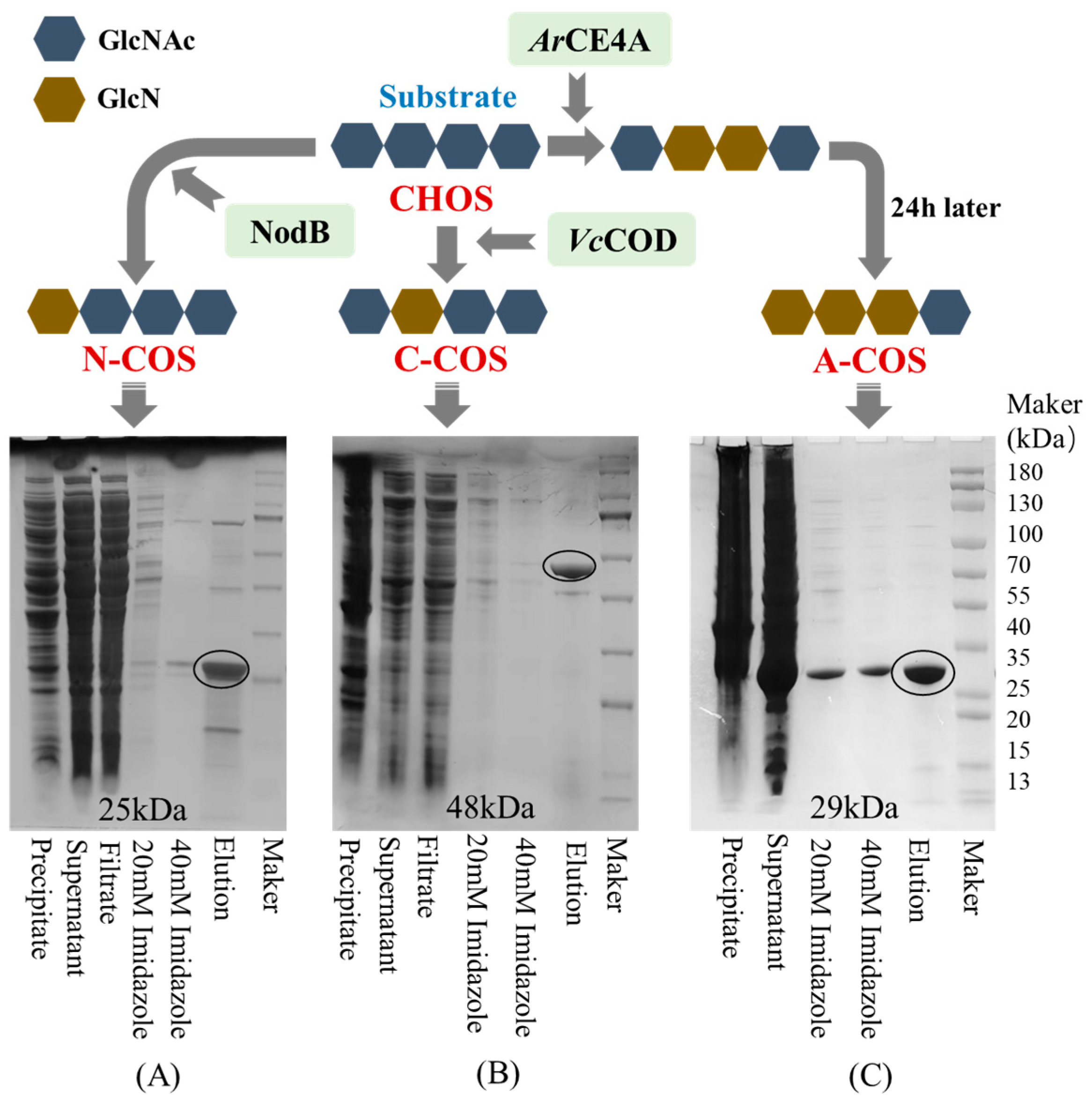 Polymers 17 01194 g001