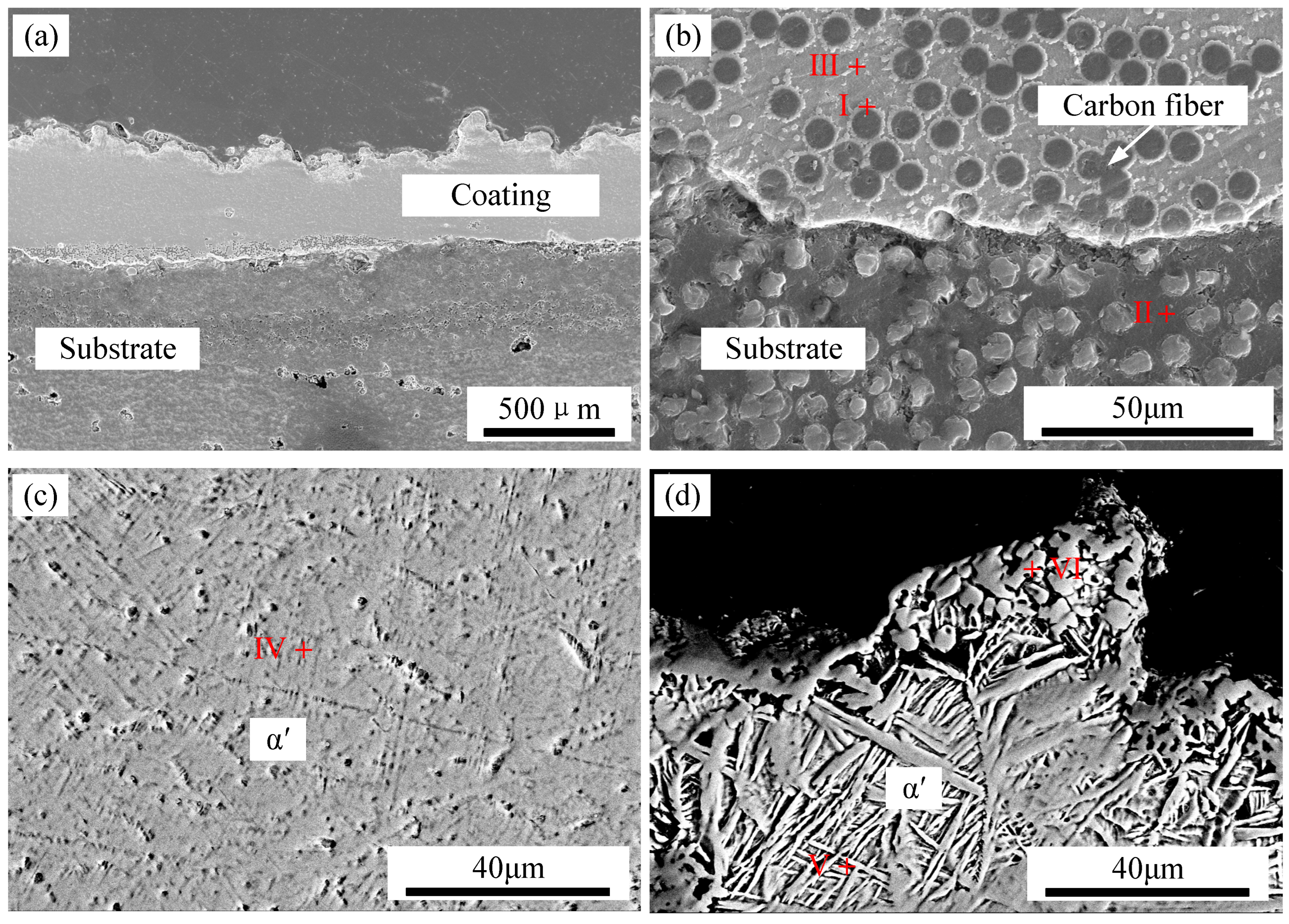 Polymers 17 01195 g009