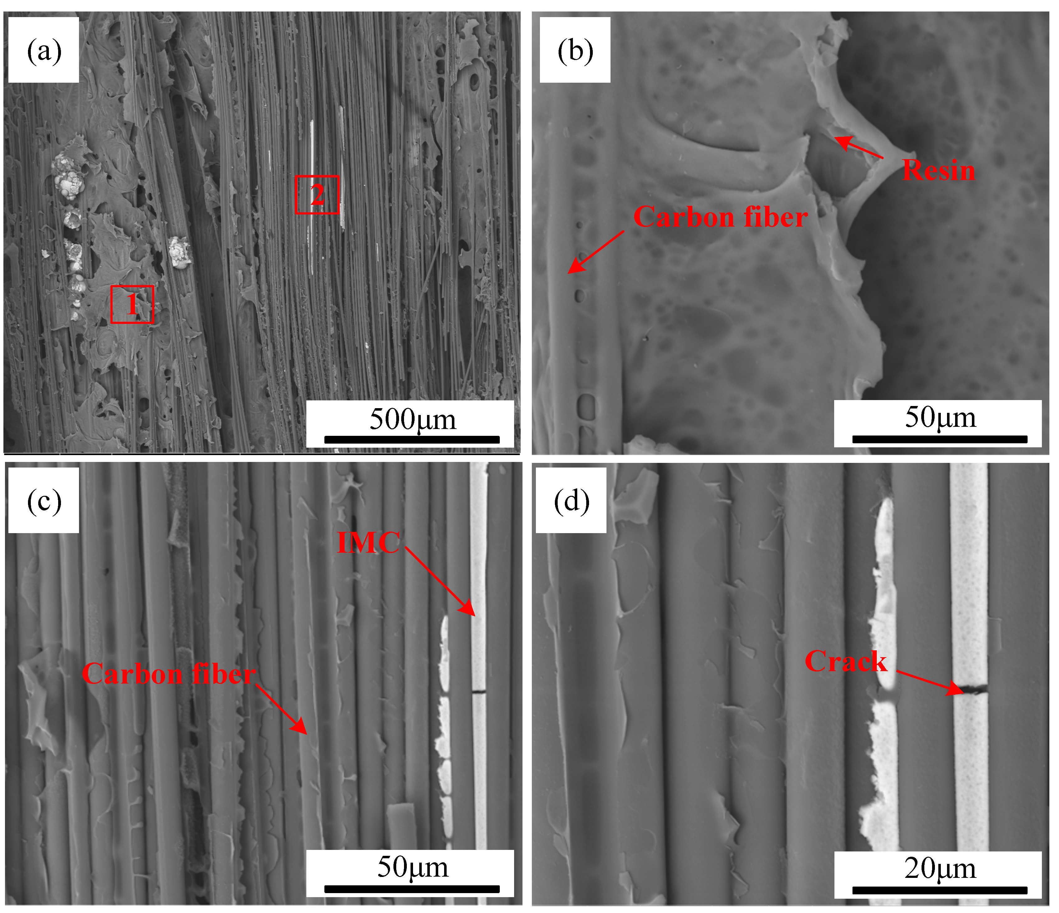 Polymers 17 01195 g014