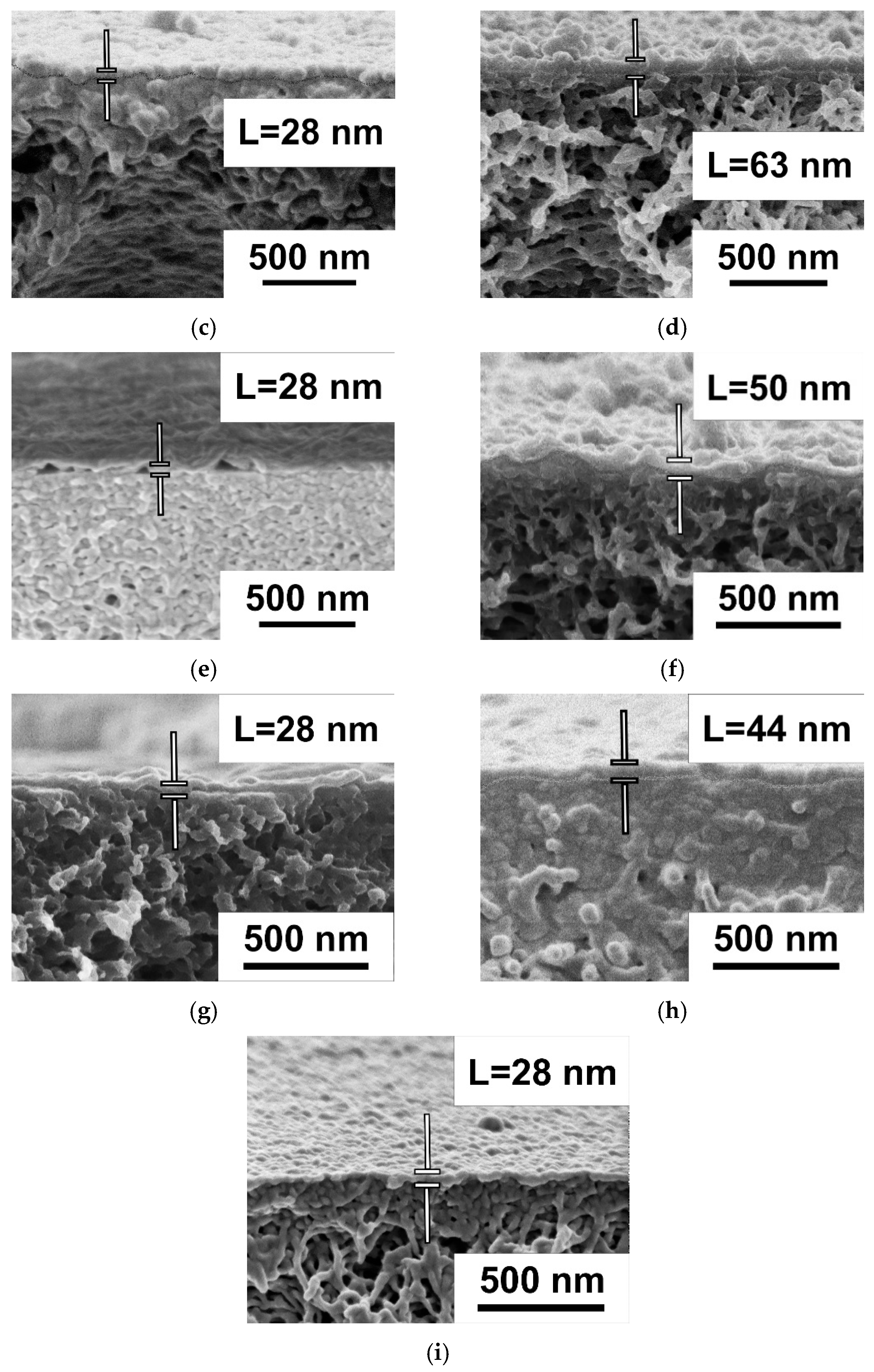 Polymers 17 01199 g007b