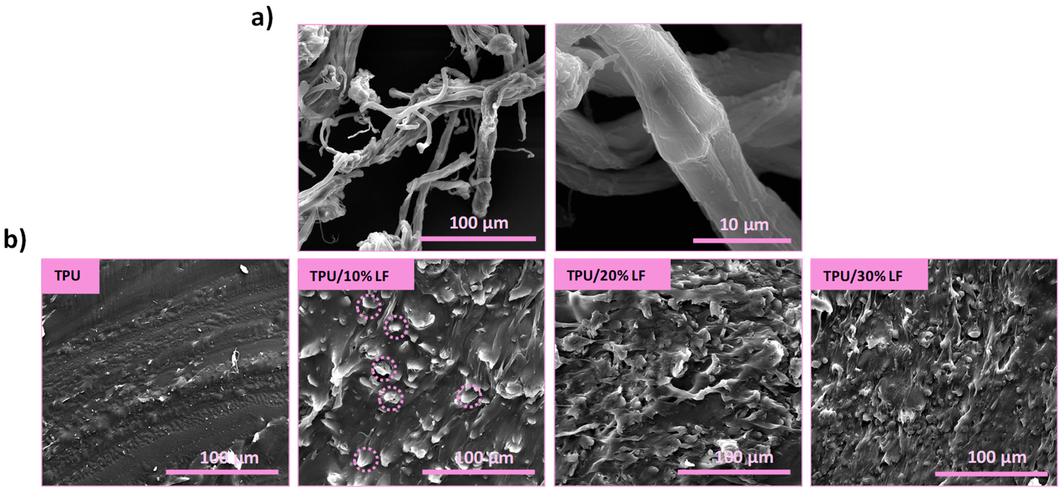 Polymers 17 01202 g003