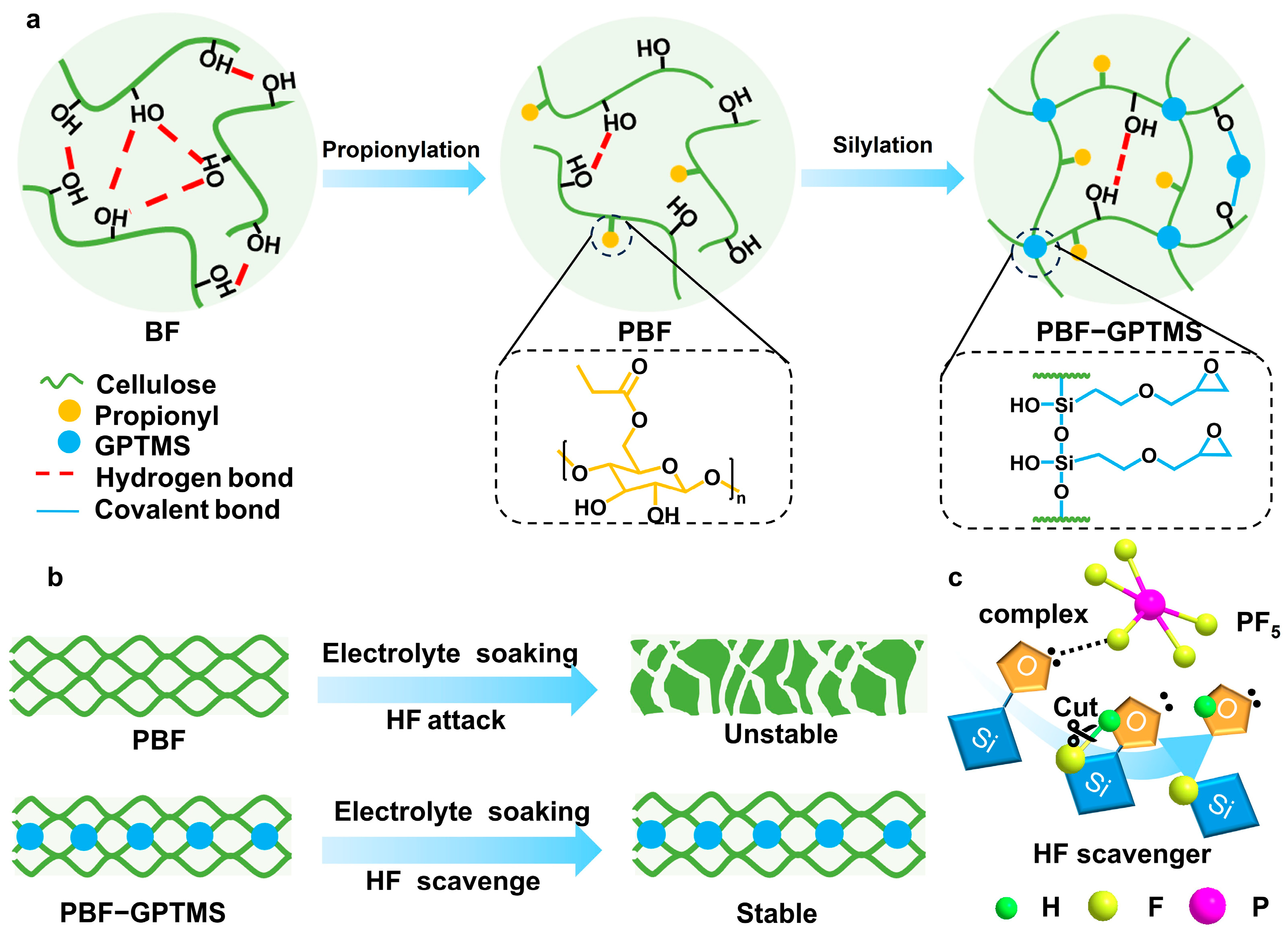 Polymers 17 01203 g001