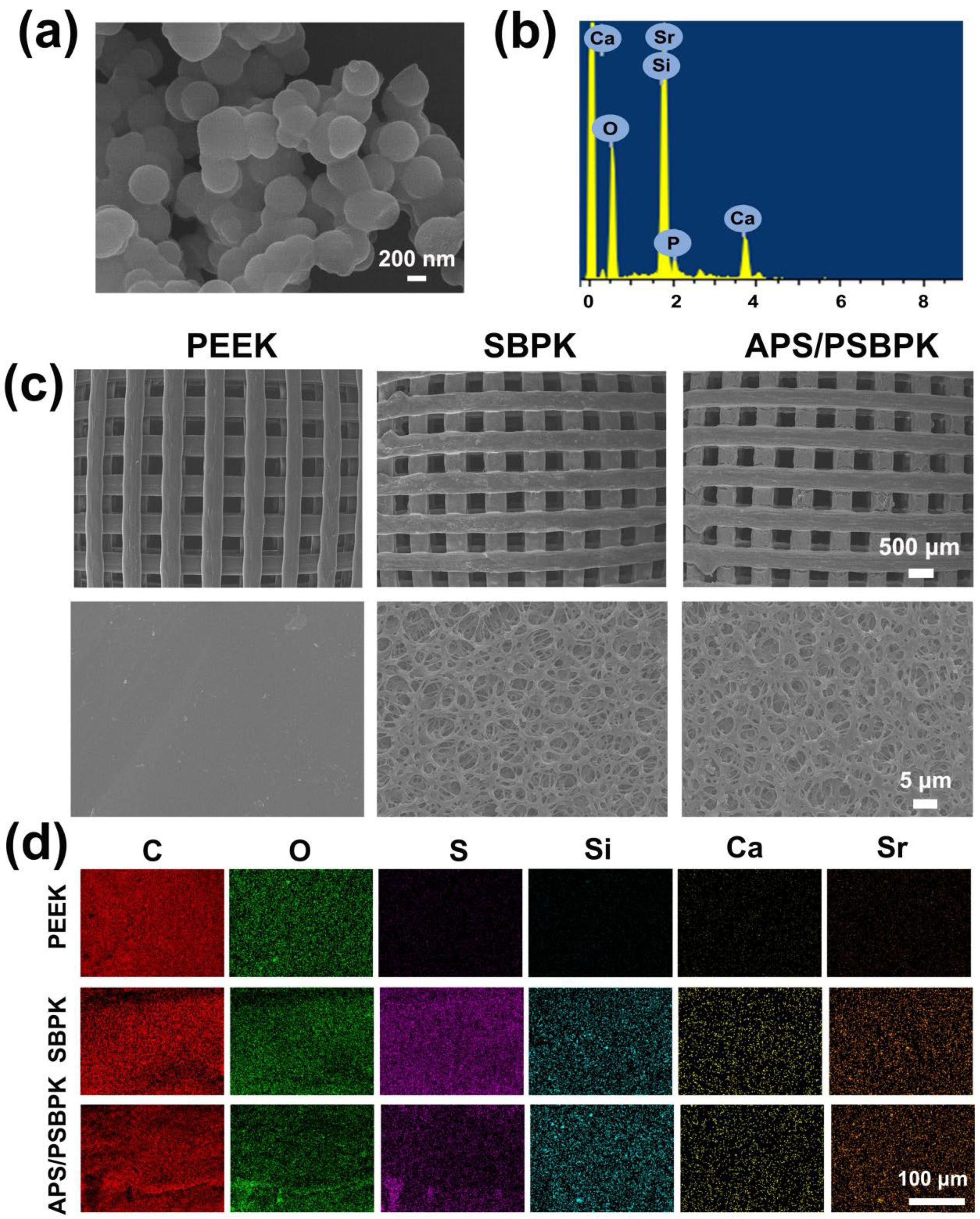 Polymers 17 01206 g001