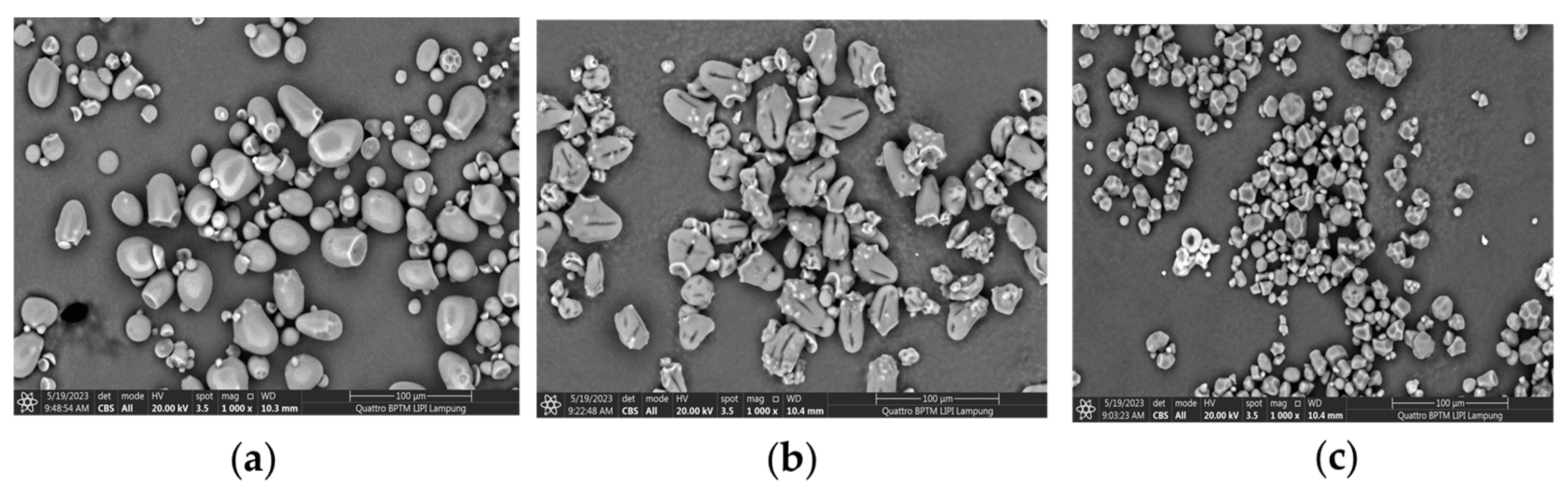 Polymers 17 01208 g005