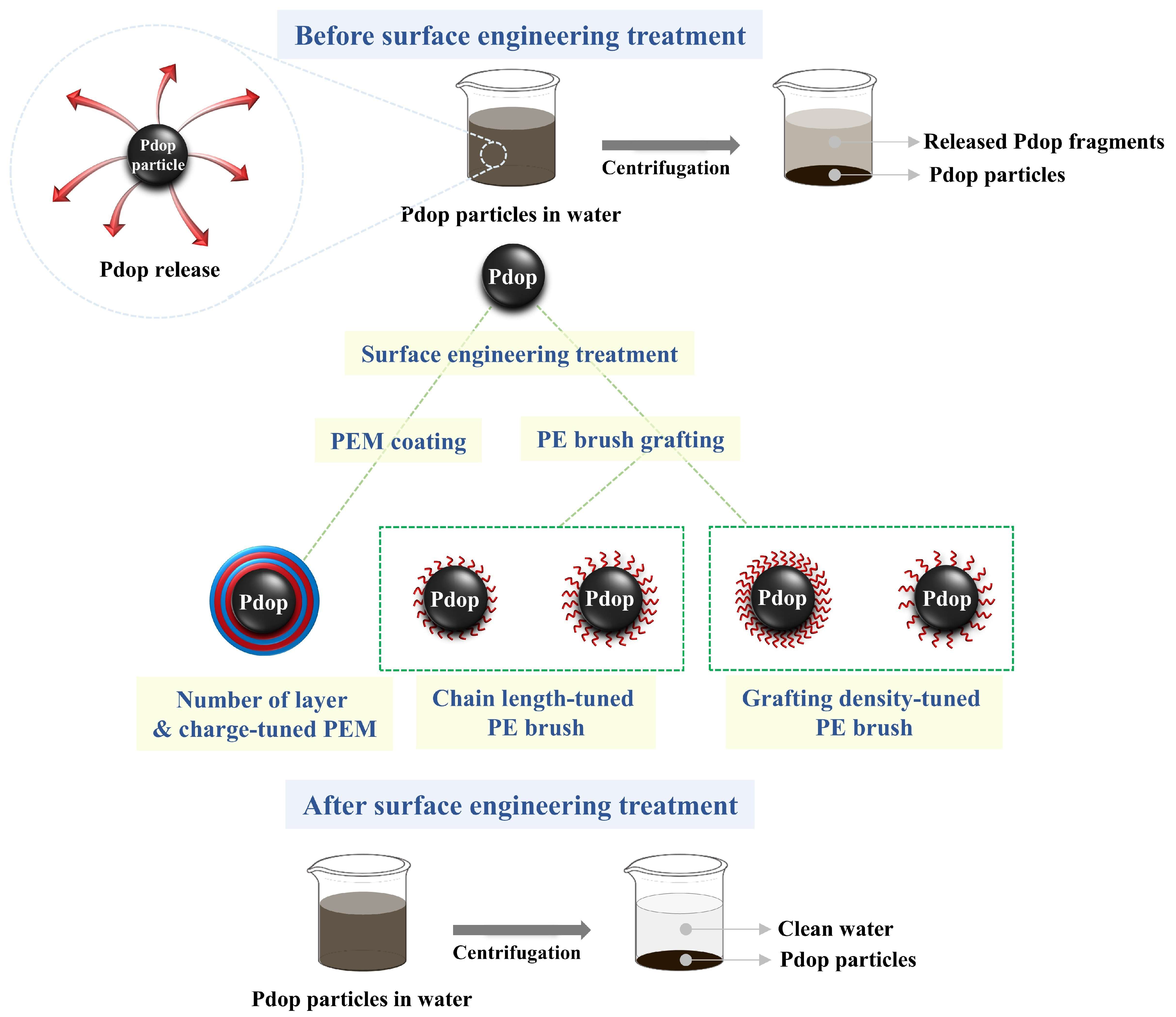 Polymers 17 01209 g001