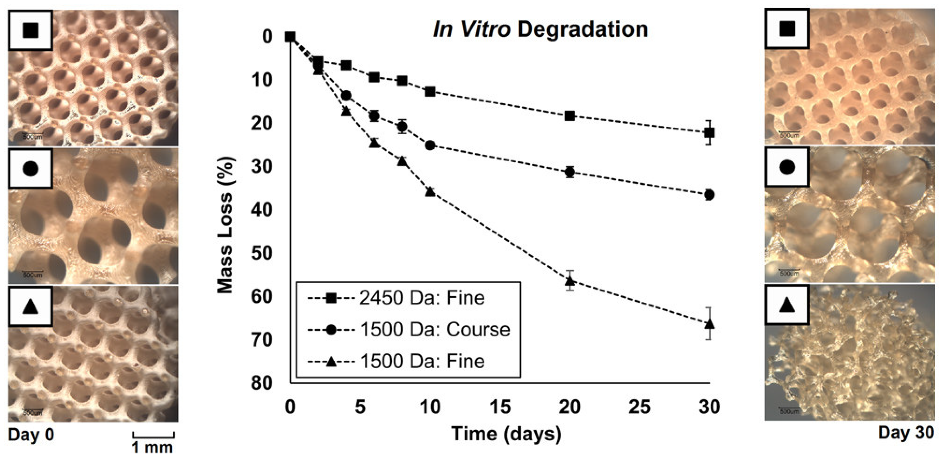 Polymers 17 01212 g002