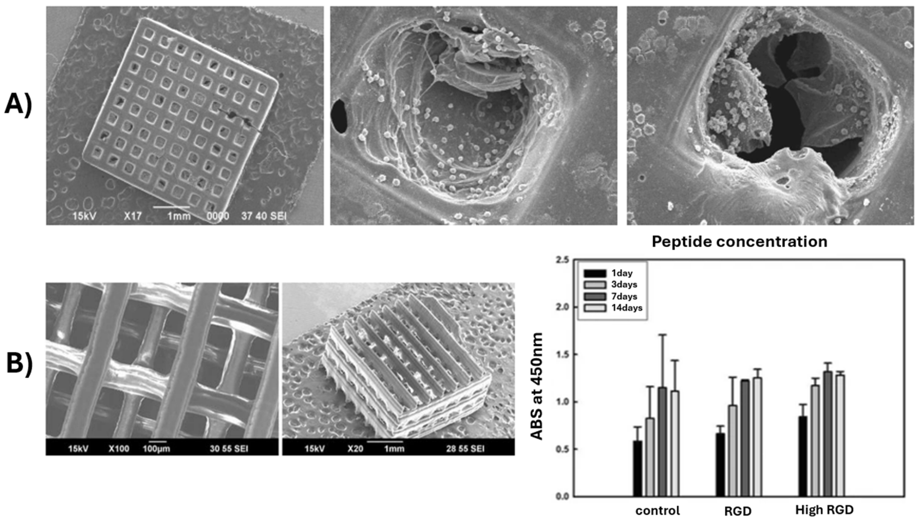 Polymers 17 01212 g003