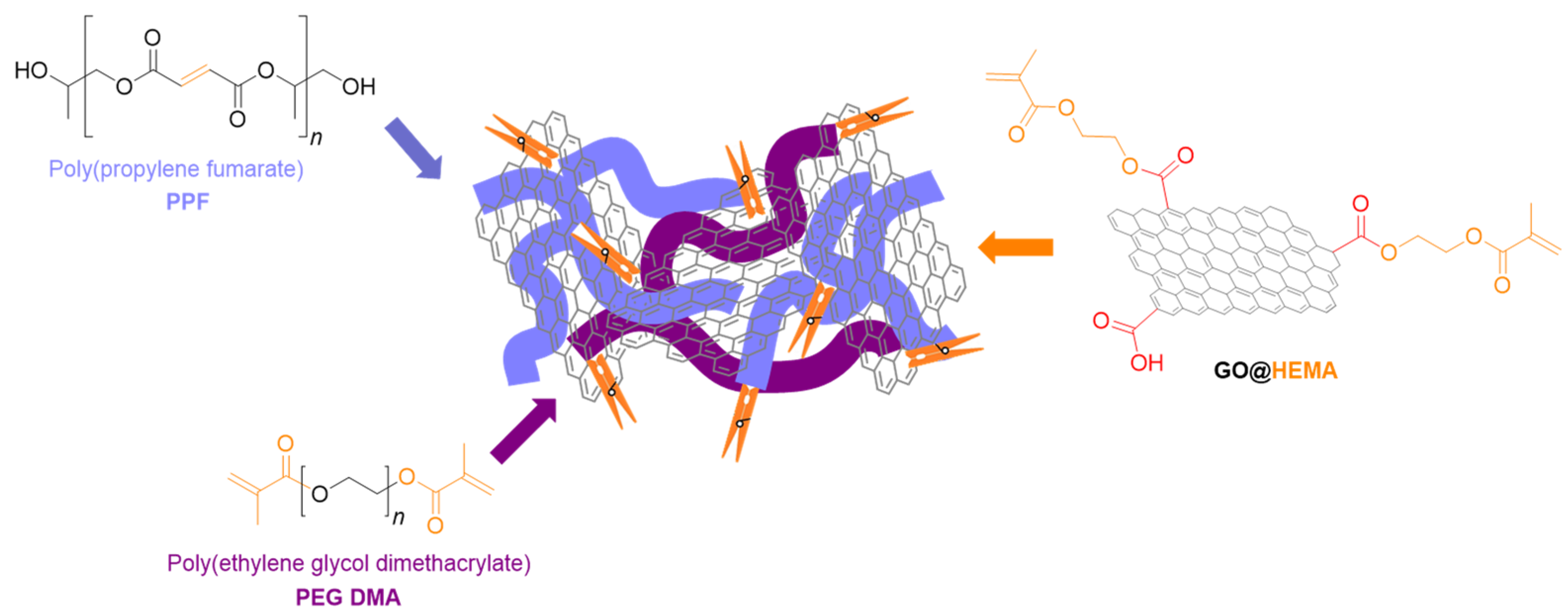 Polymers 17 01212 g012