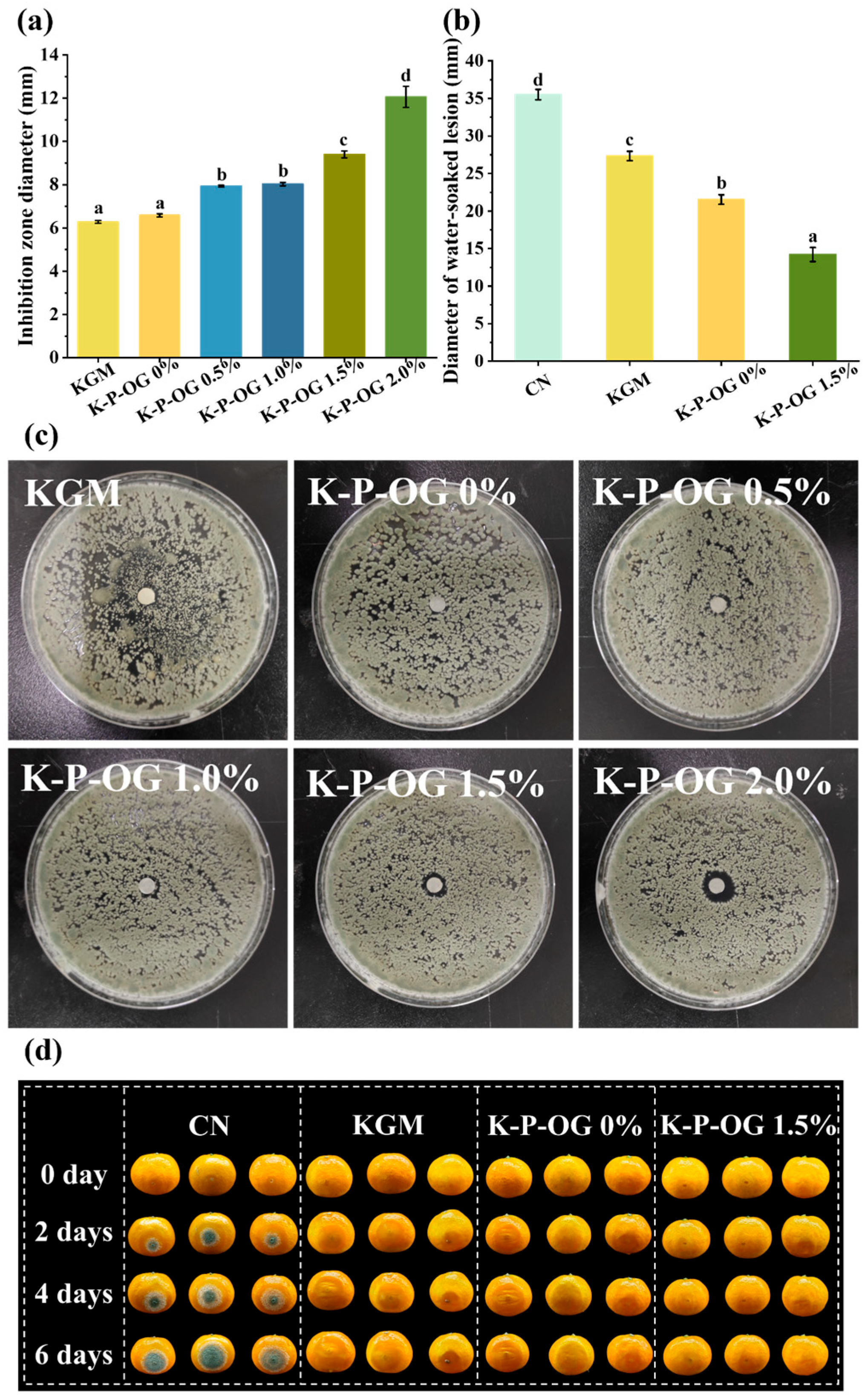 Polymers 17 01217 g009