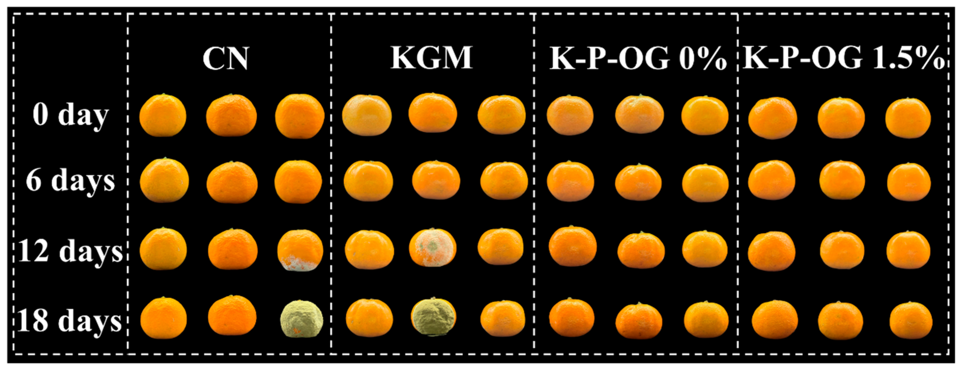 Polymers 17 01217 g011