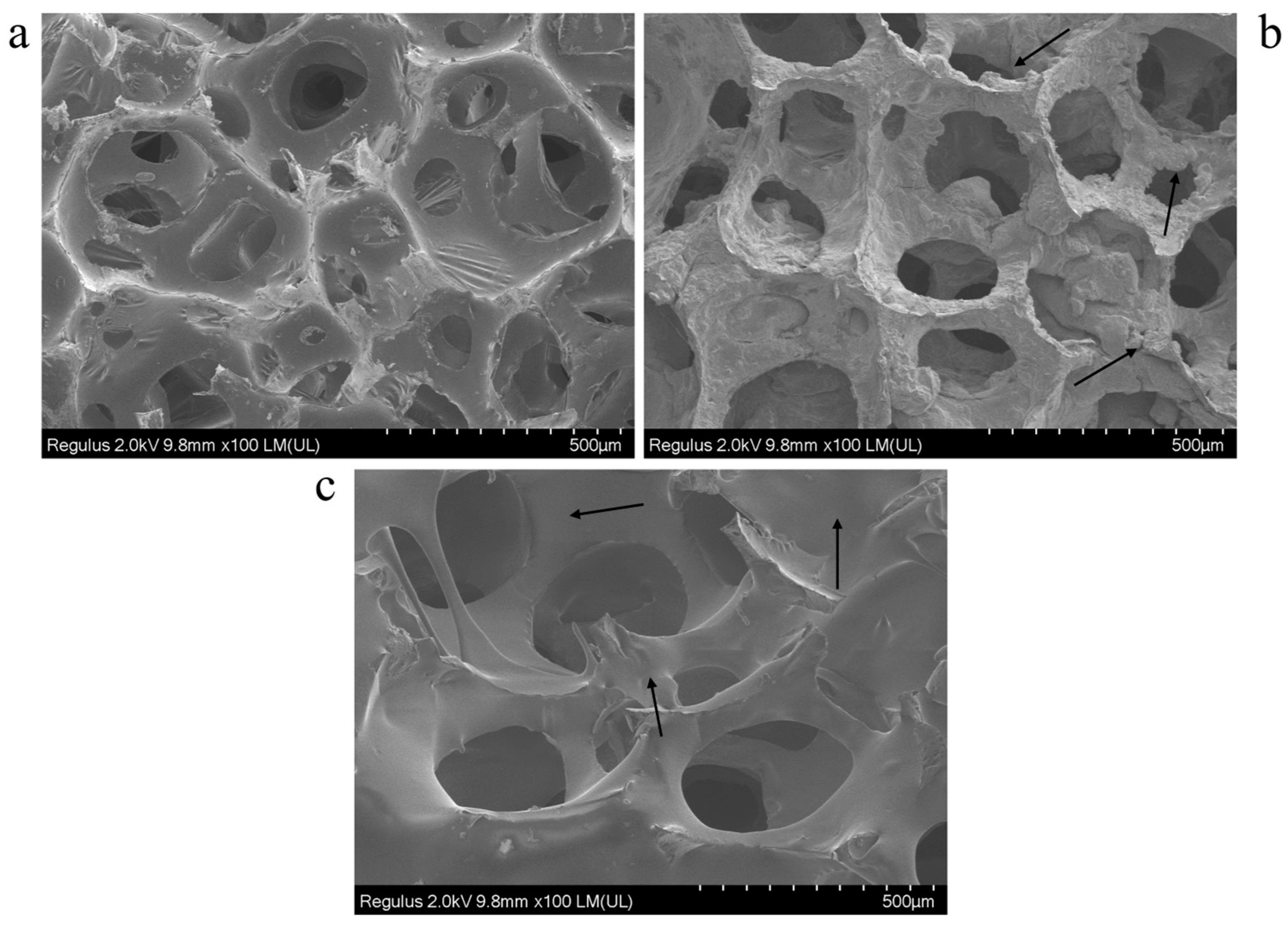 Polymers 17 01218 g005