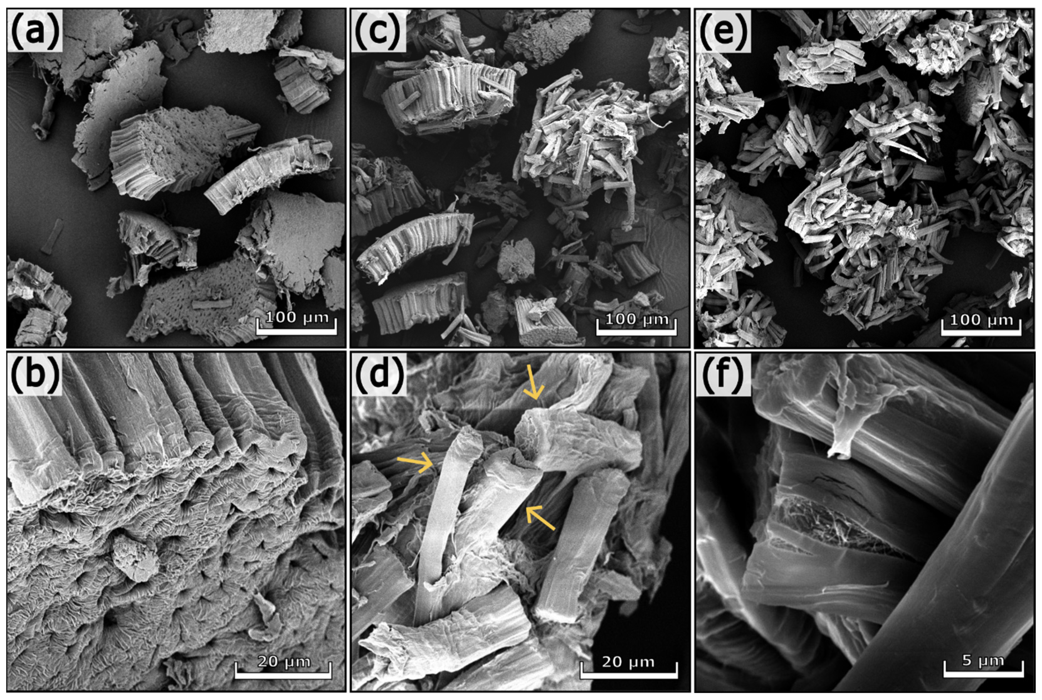 Polymers 17 01220 g002